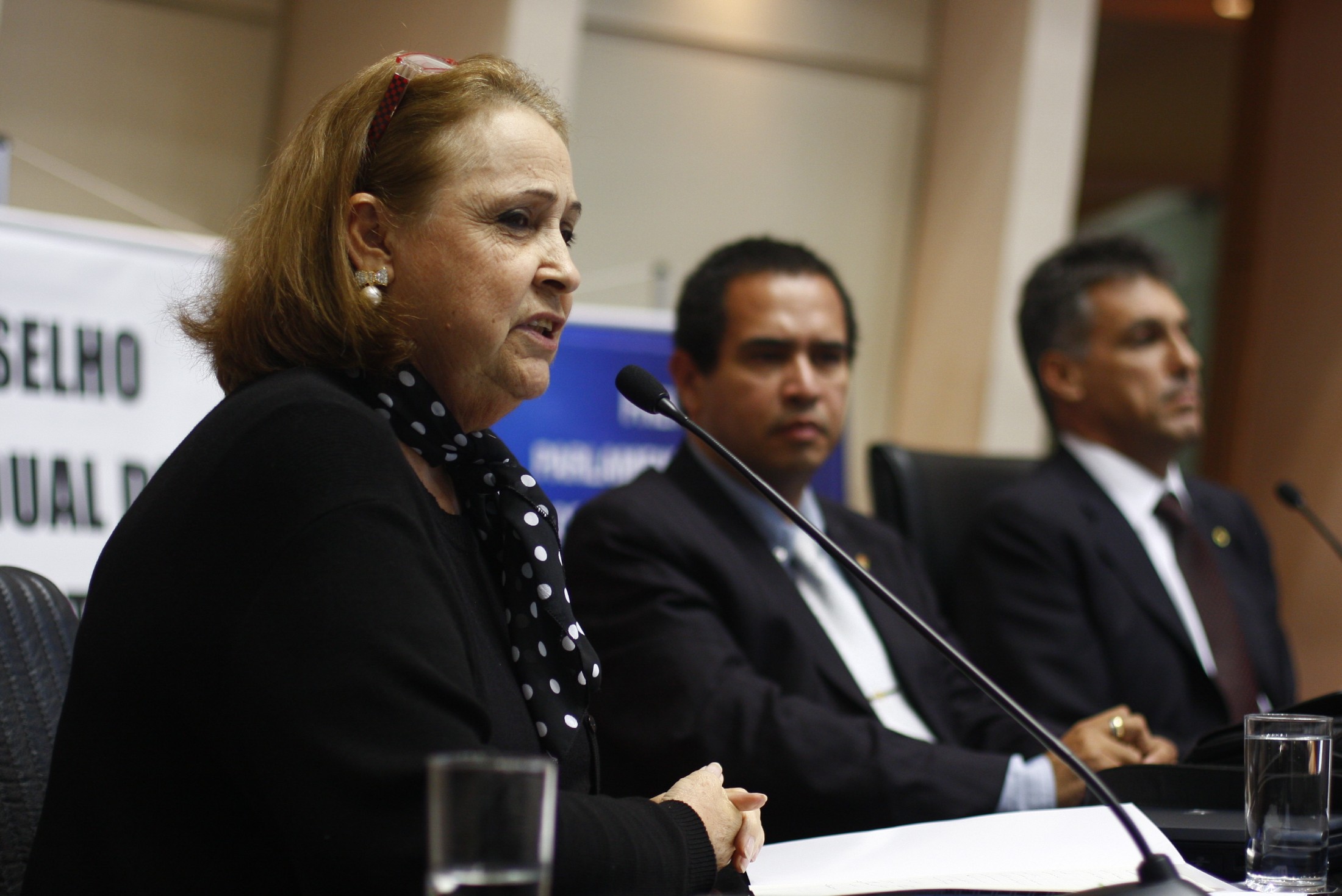 Parlamentar Mista de Combate à Pirataria e à Sonegação Fiscal