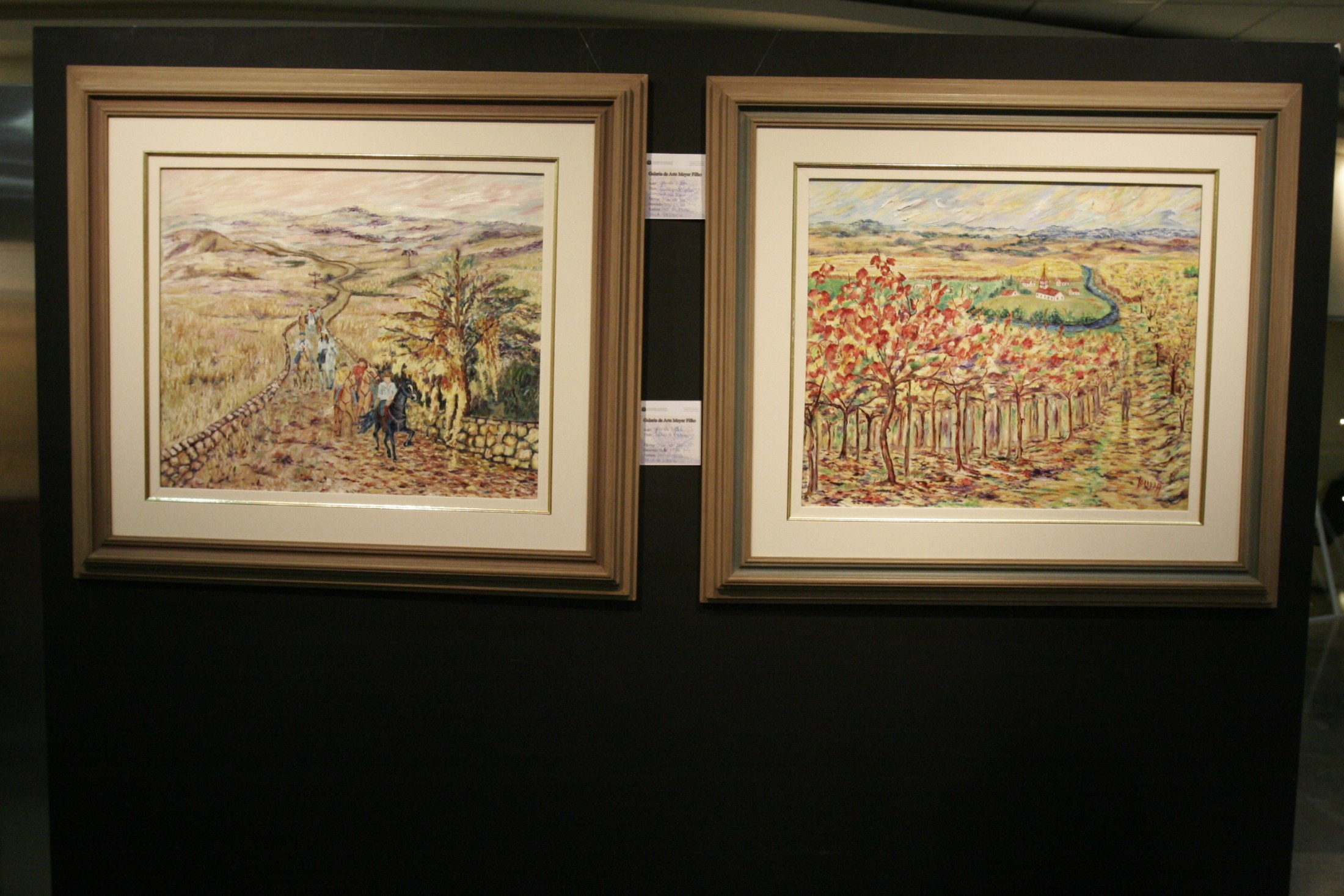 Exposição e Lançamento Literário - Artista Yolanda Bathke