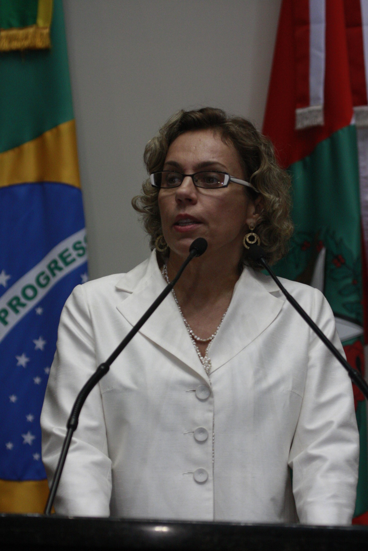Sessão Ordinária – Deputada Ana Paula Lima (PT)