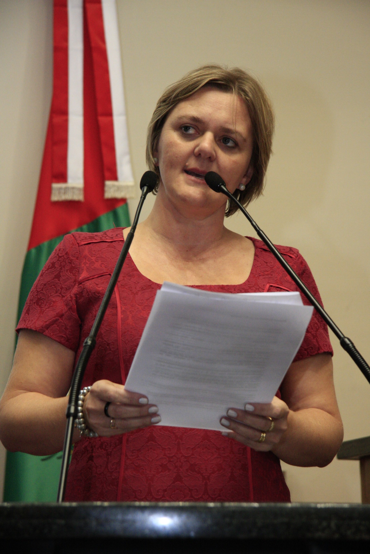 Deputada Luciane Carminatti (PT)