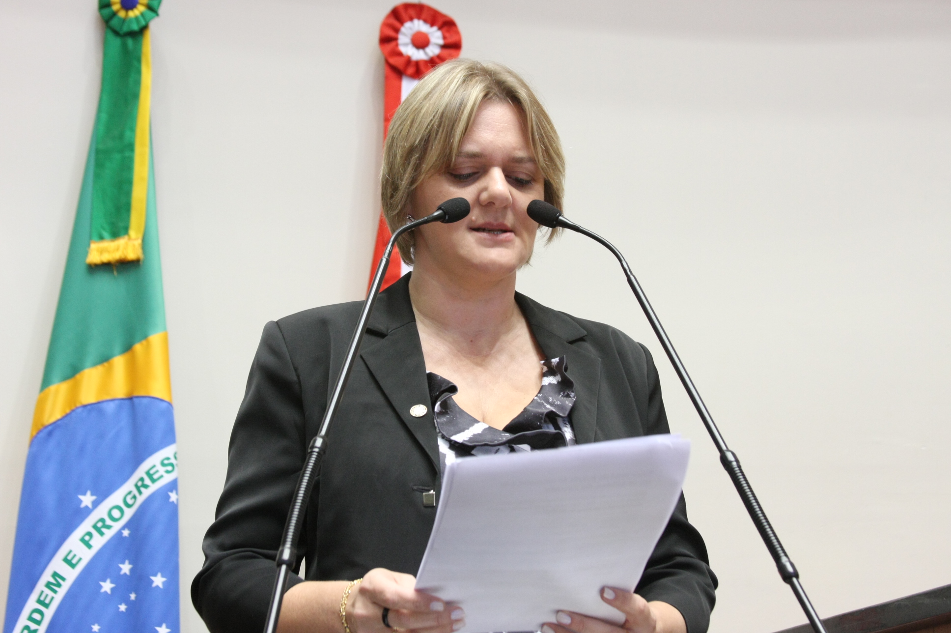 Deputada Luciane Carminatti (PT)