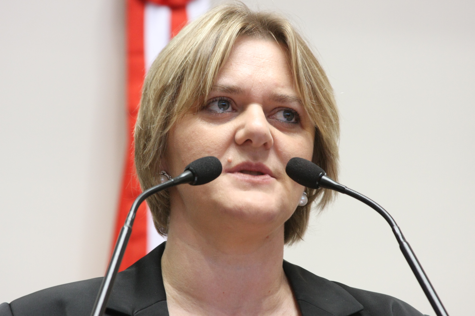 Deputada Luciane Carminatti (PT)