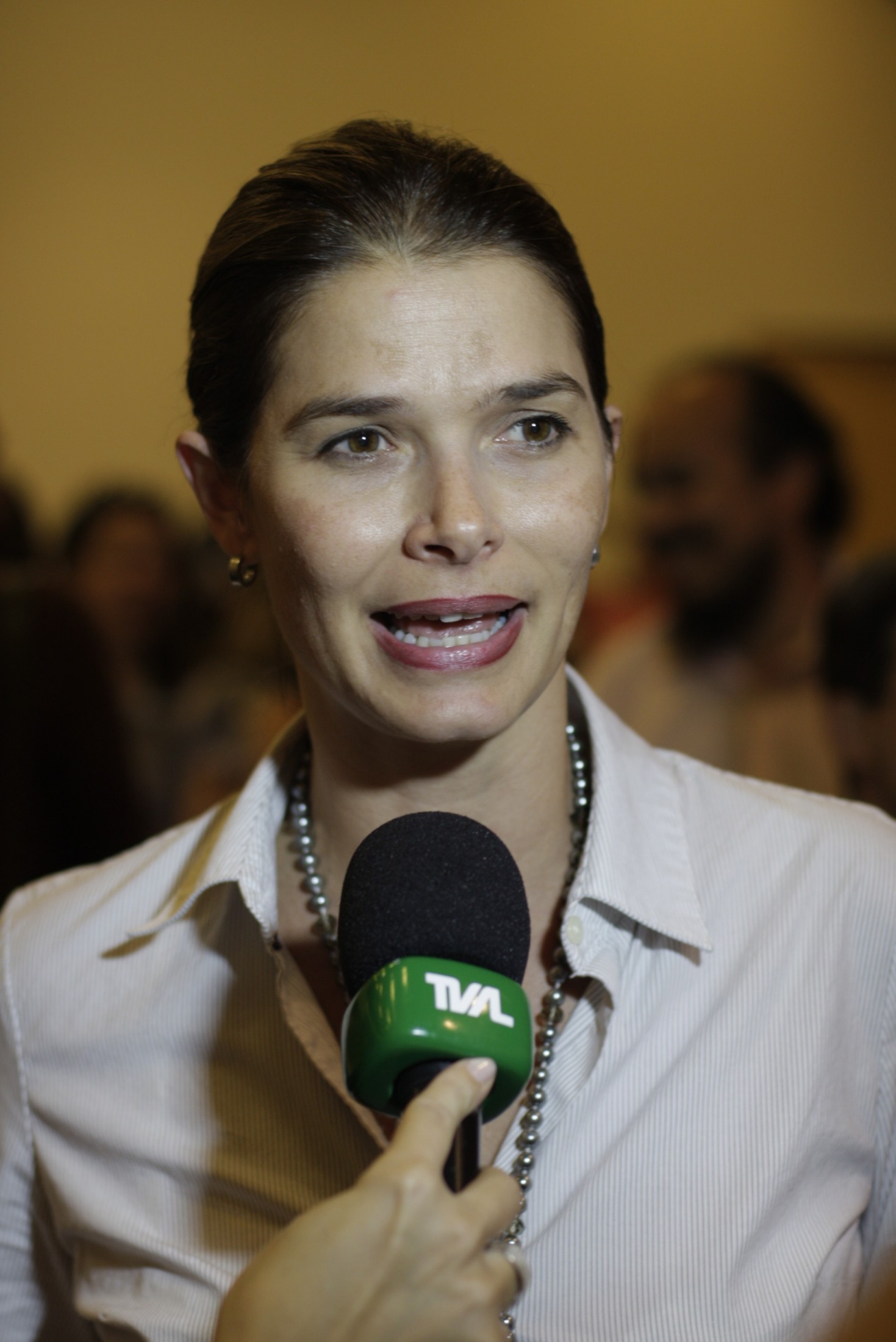 Audiência pública ?Enquadramento da Udesc na Lei 15.695/2011?