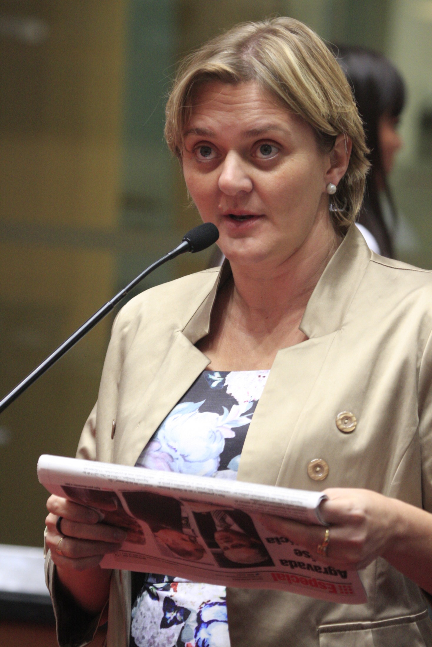 Sessão Ordinária – Deputada Luciane Carminatti PT
