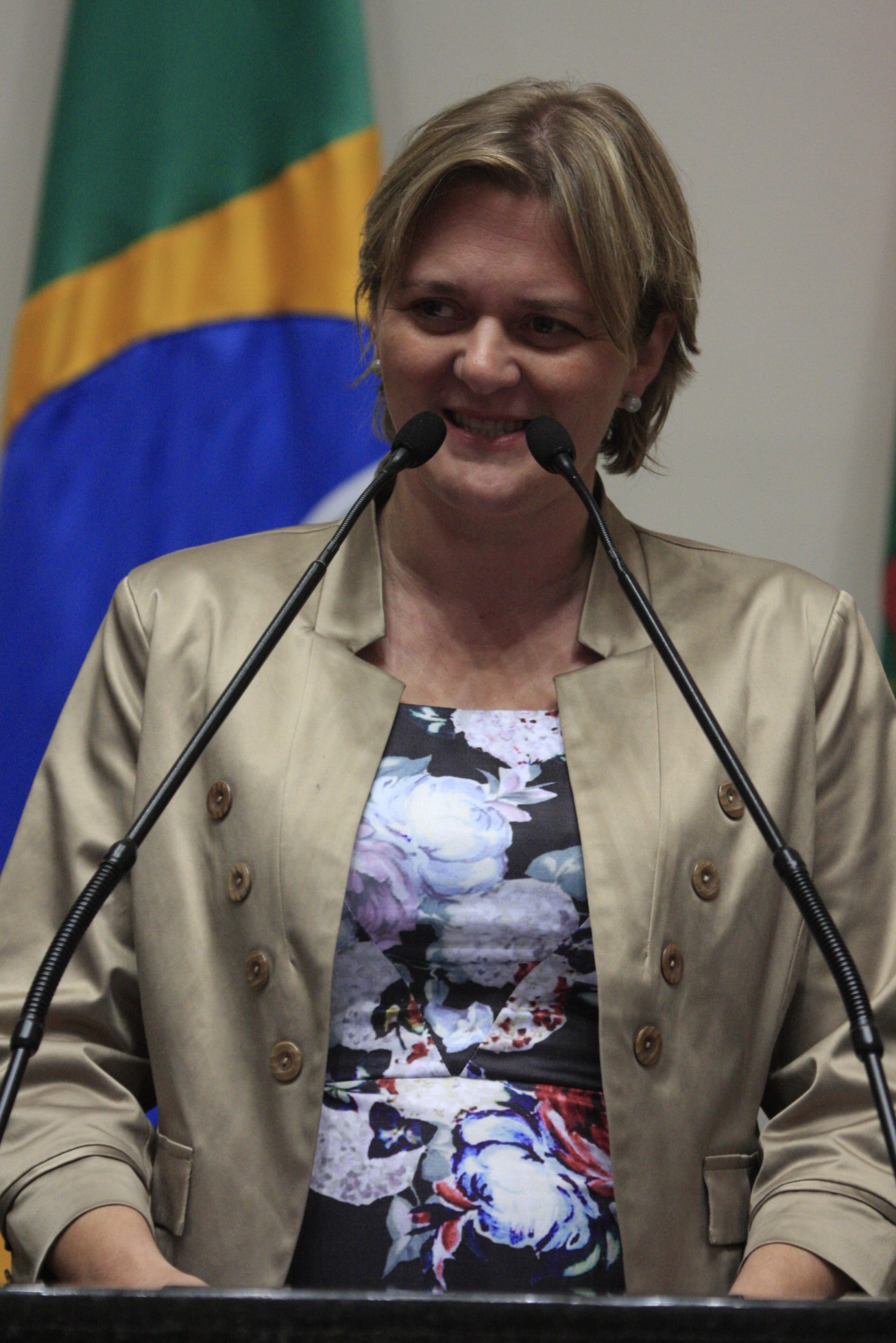 Sessão Ordinária - Plenário Osni Régis - Deputada Luciane Carminatti (PT)
