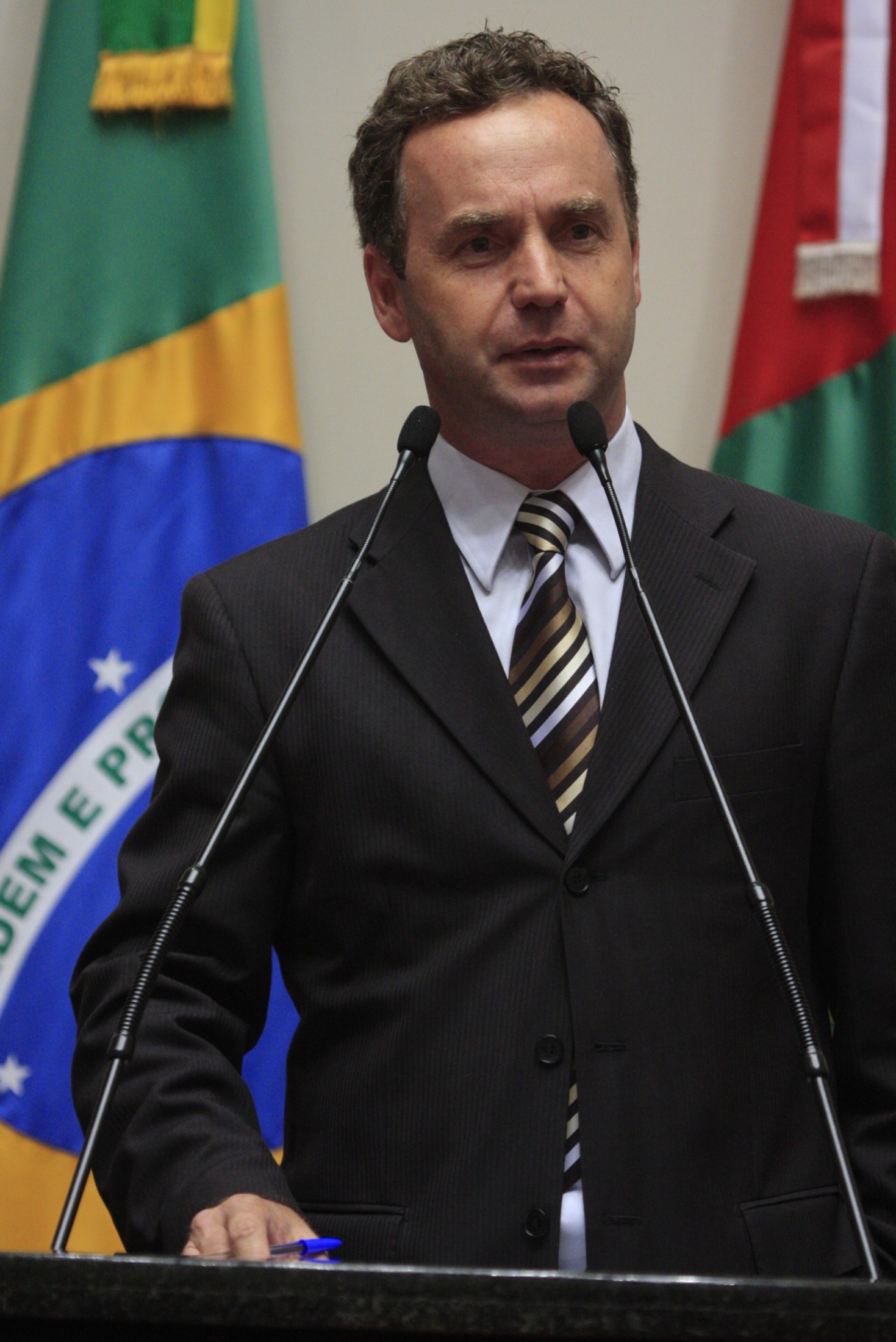 Sessão Ordinária - Plenário Osni Régis - Deputado Dieter Janssen (PP)