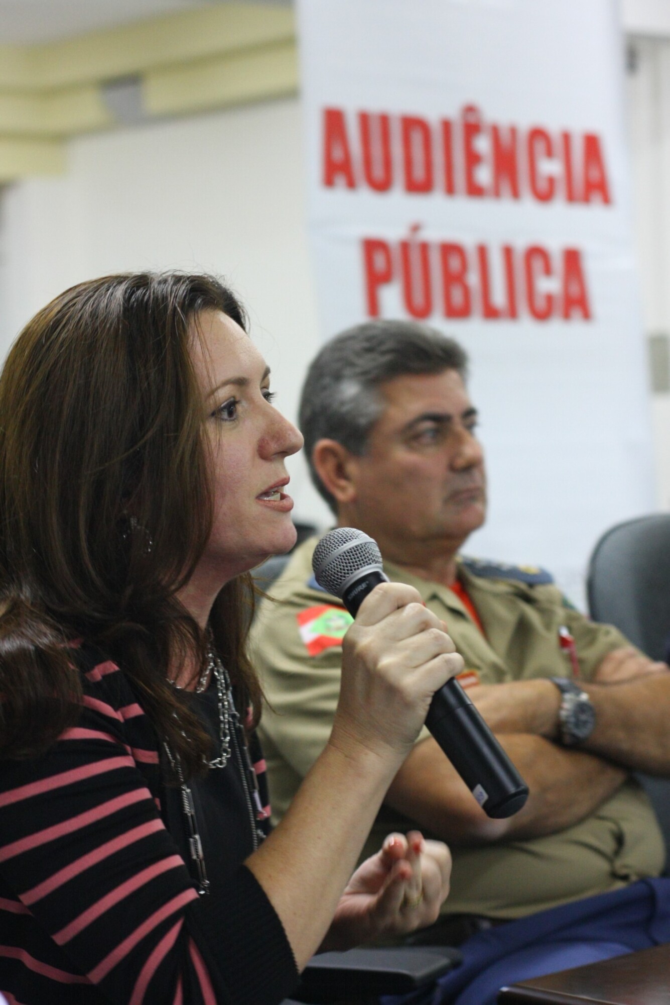 Audiência Pública - Segurança - Chapecó