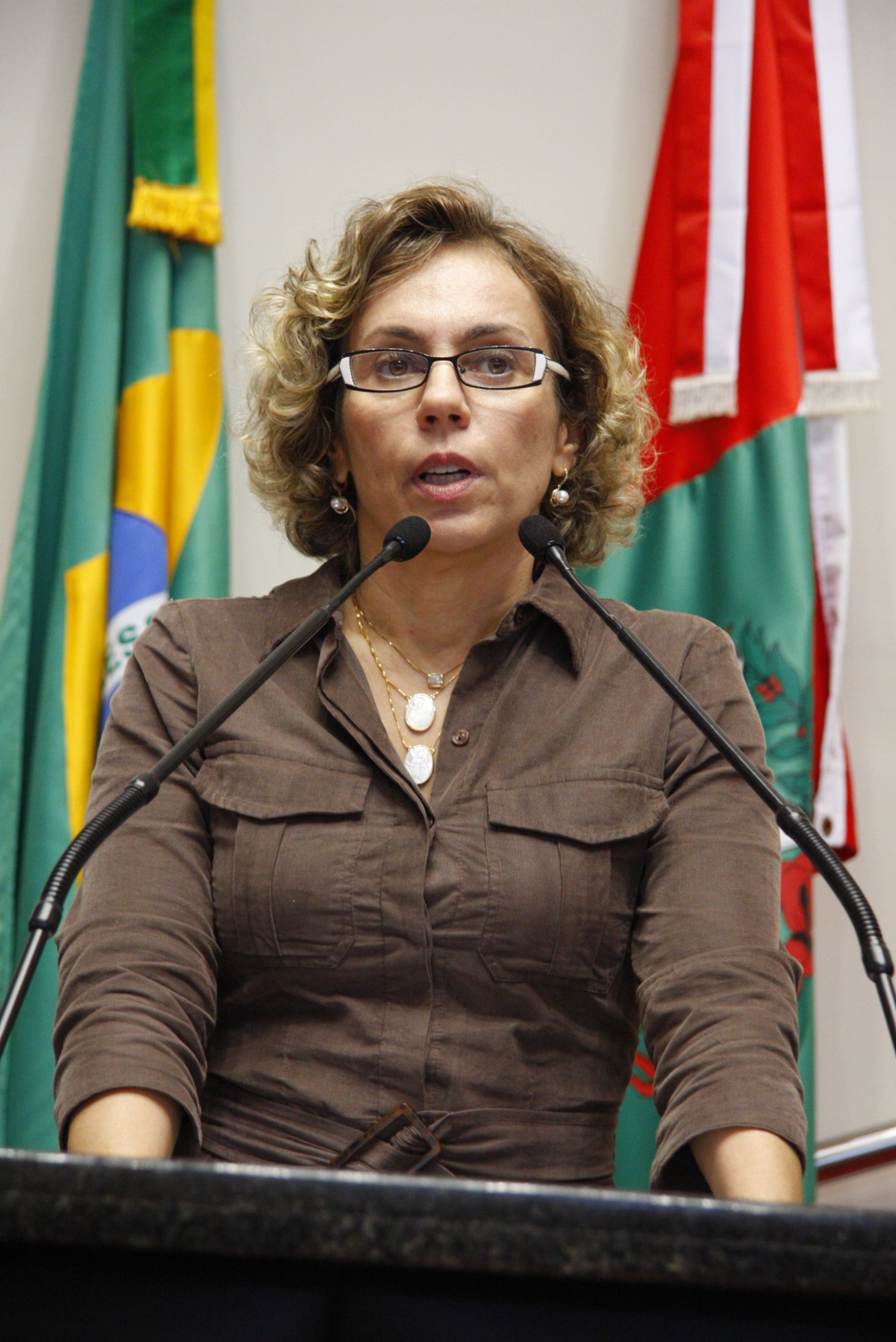 Deputada Ana Paula Lima (PT)