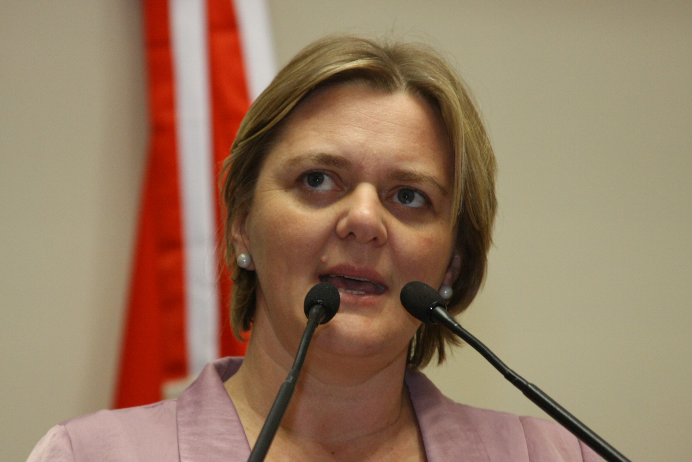 Deputada Luciane Carminatti (PT)