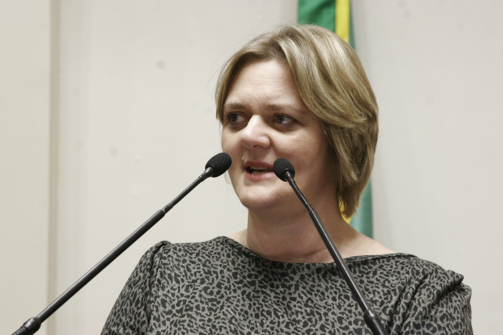 Sessão Ordinária – Plenário Osni Regis