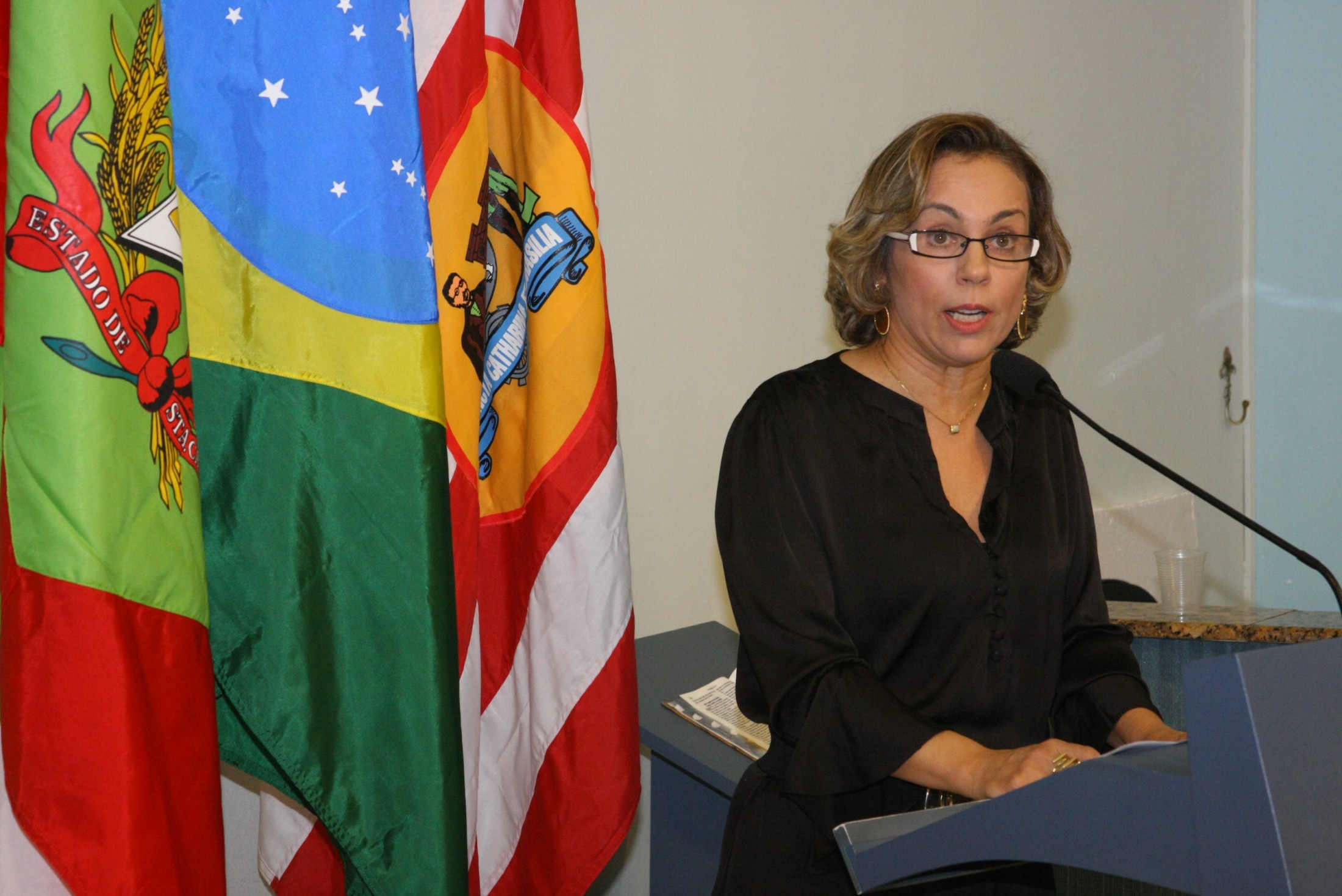 Sessão Solene - Blumenau - Deputada Ana Paula Lima (PT)