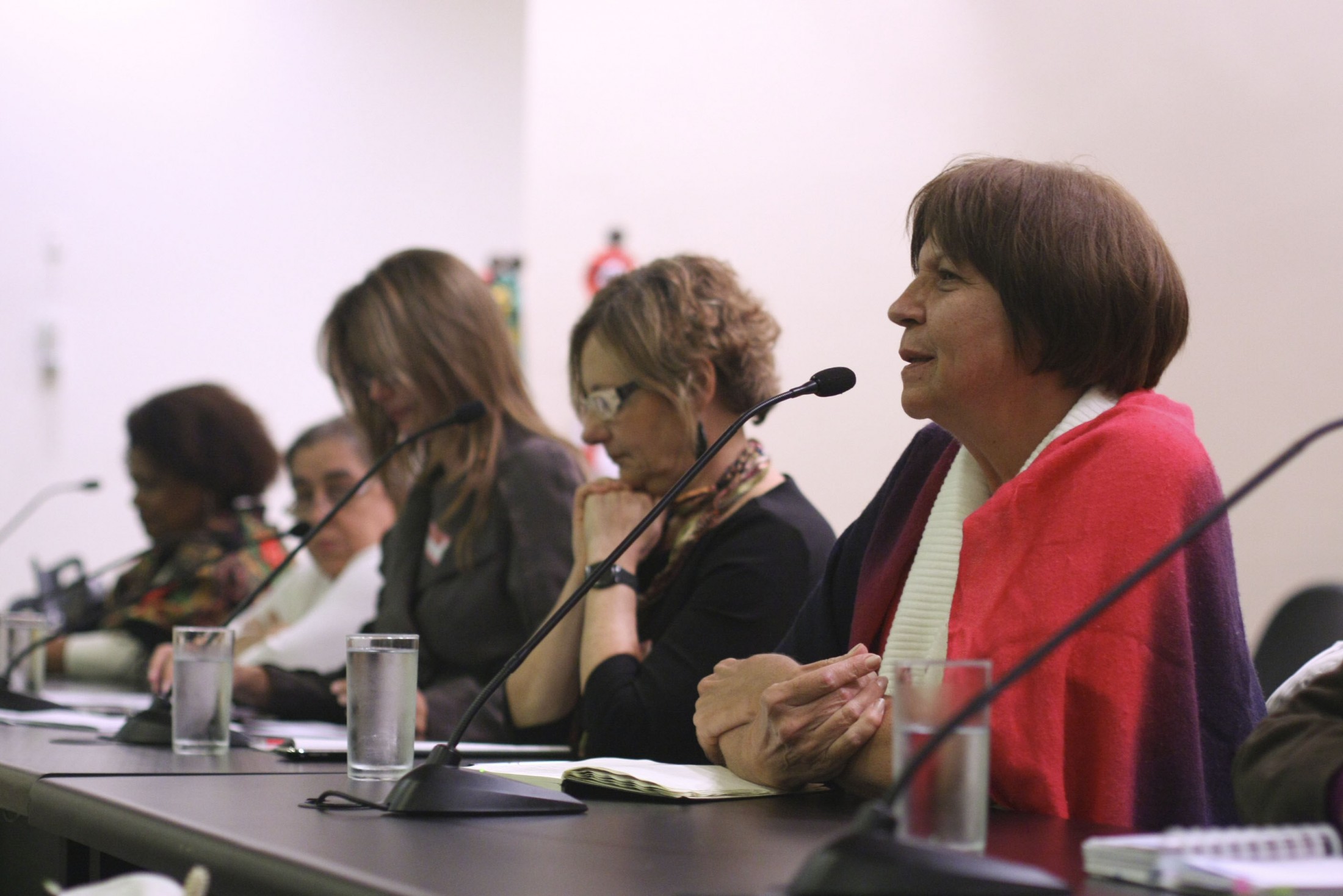 Instalação da Secretaria Executiva da Rede Nacional Feminista de Saúde