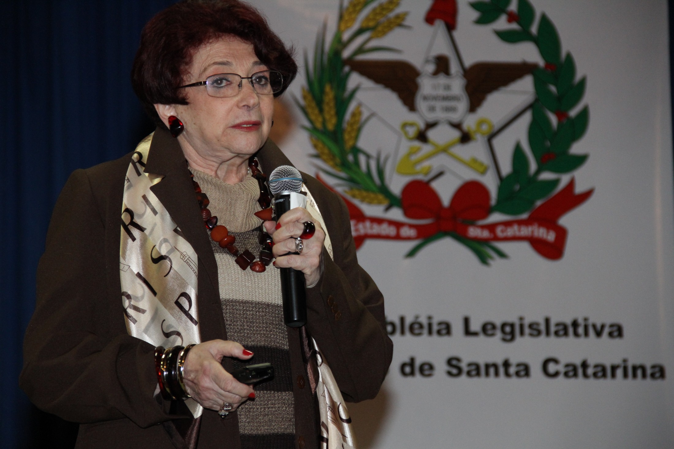 Seminário sobre o processo de inclusão escolar da pessoa com deficiência no Brasil - Blumenau - Palestrante: Professora Rosita Edler Carvalho