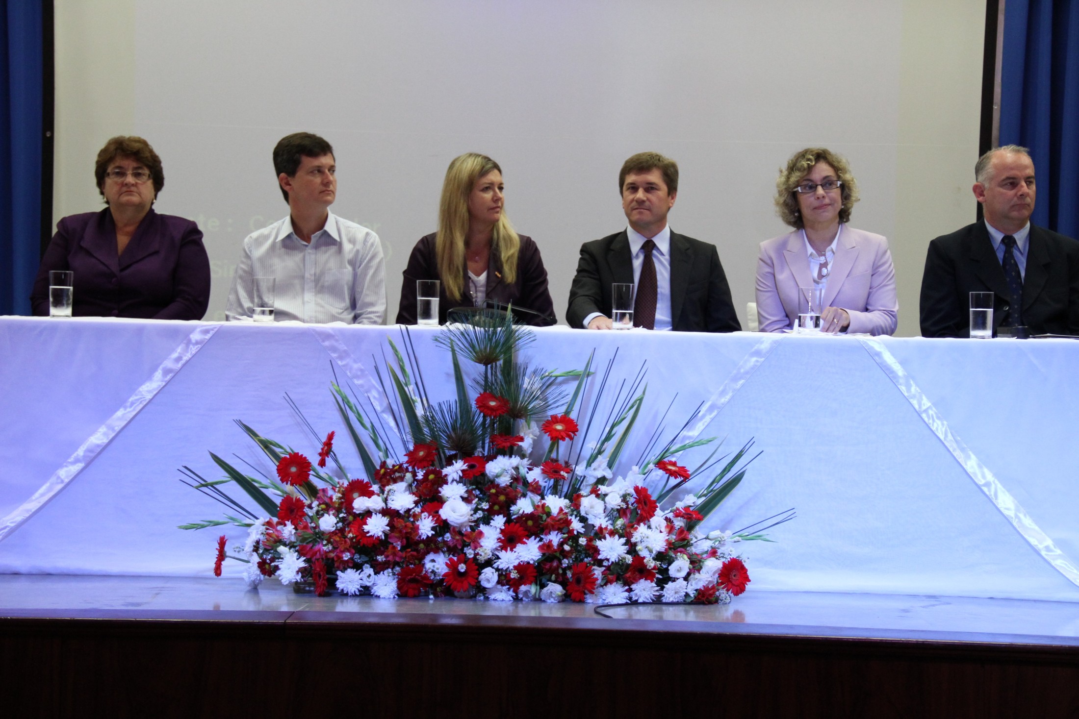 Seminário sobre o processo de inclusão escolar da pessoa com deficiência no Brasil - Blumenau