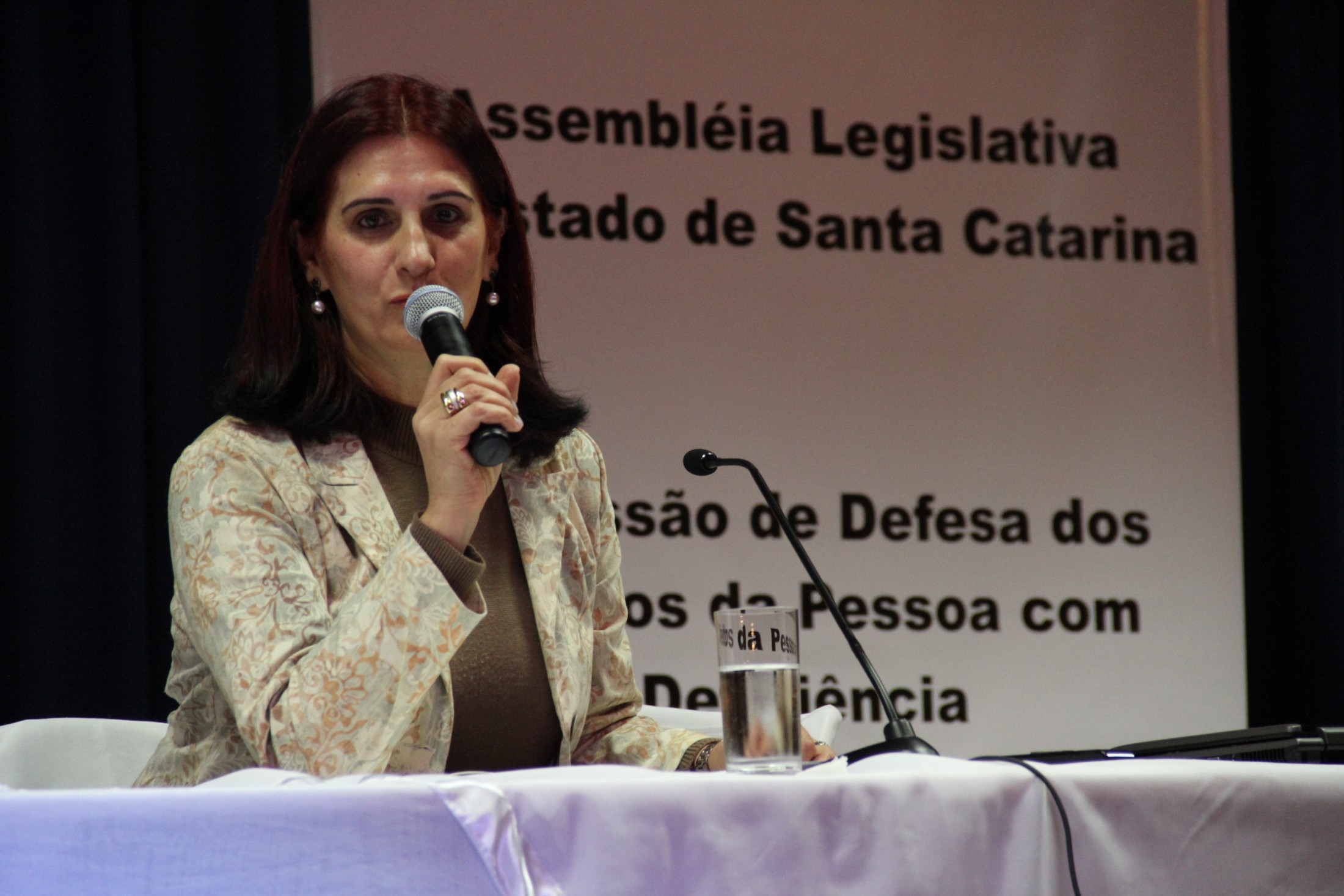 Seminário sobre o processo de inclusão escolar da pessoa com deficiência no Brasil - Blumenau