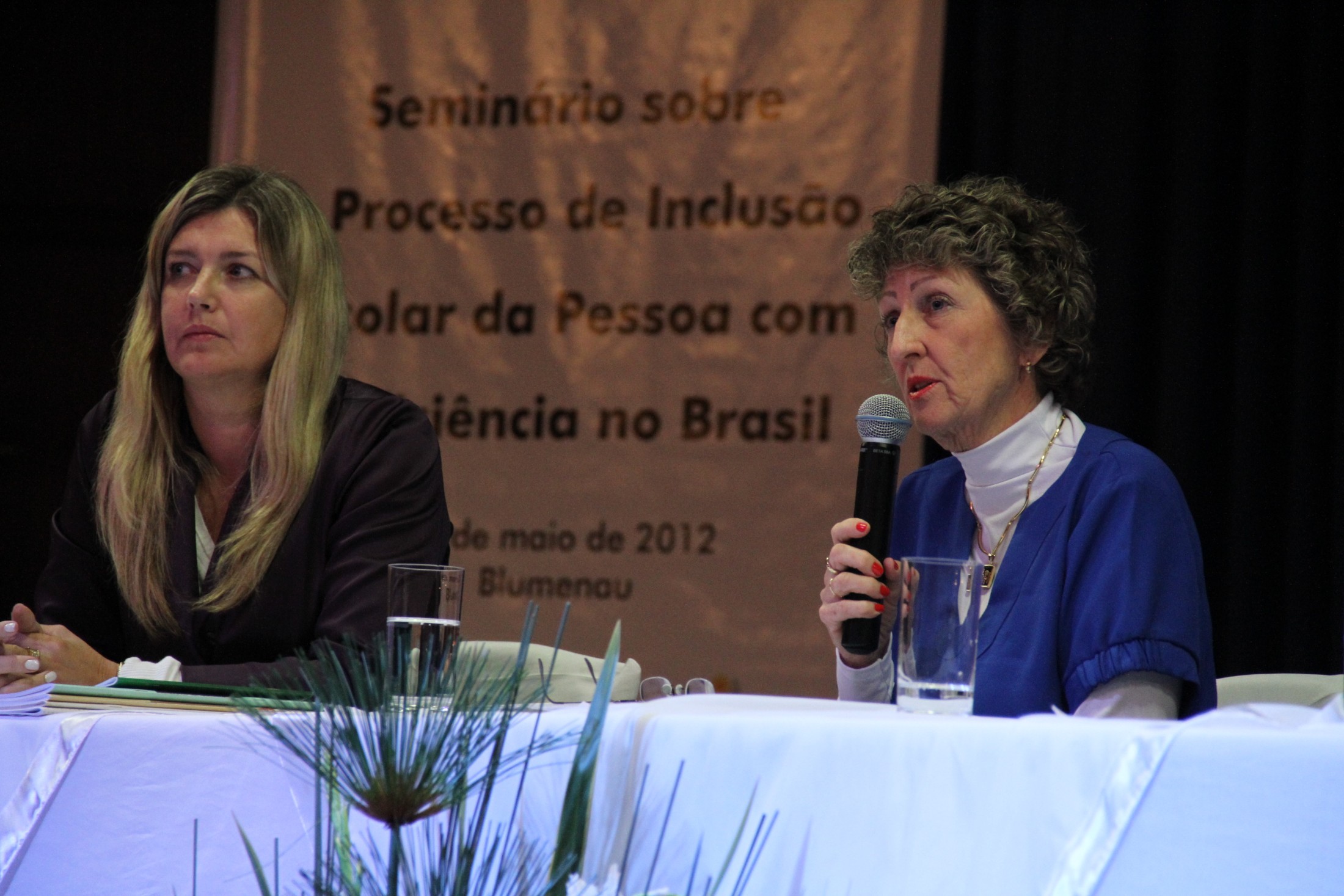 Seminário sobre o processo de inclusão escolar