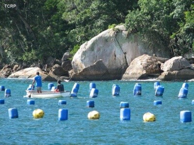 Santa Catarina vai ganhar laboratório para inspeção de moluscos