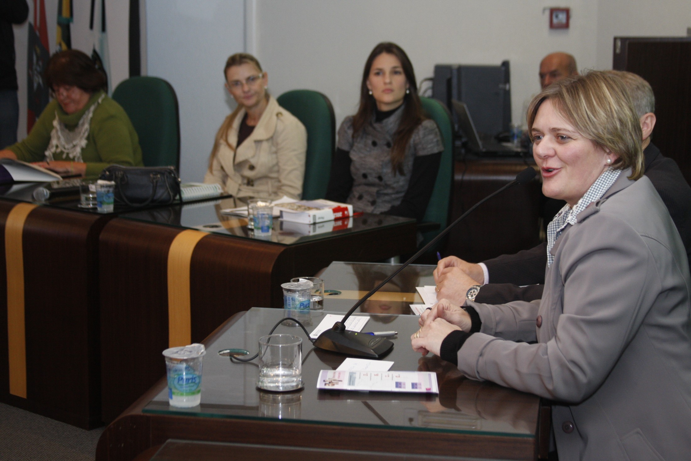 Encontro Regional sobre Violência Doméstica contra a Mulher