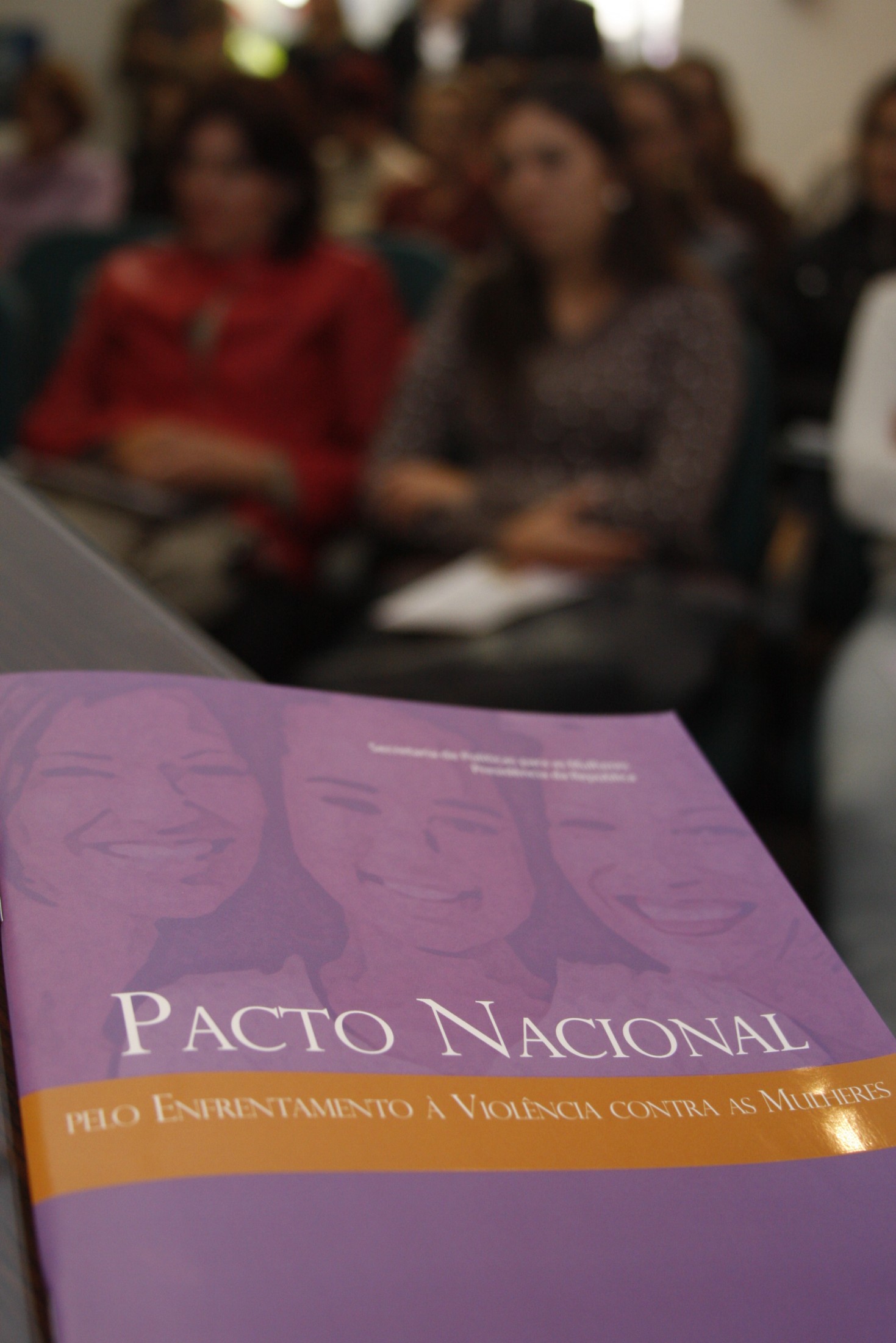 Encontro Regional sobre Violência Doméstica contra a Mulher