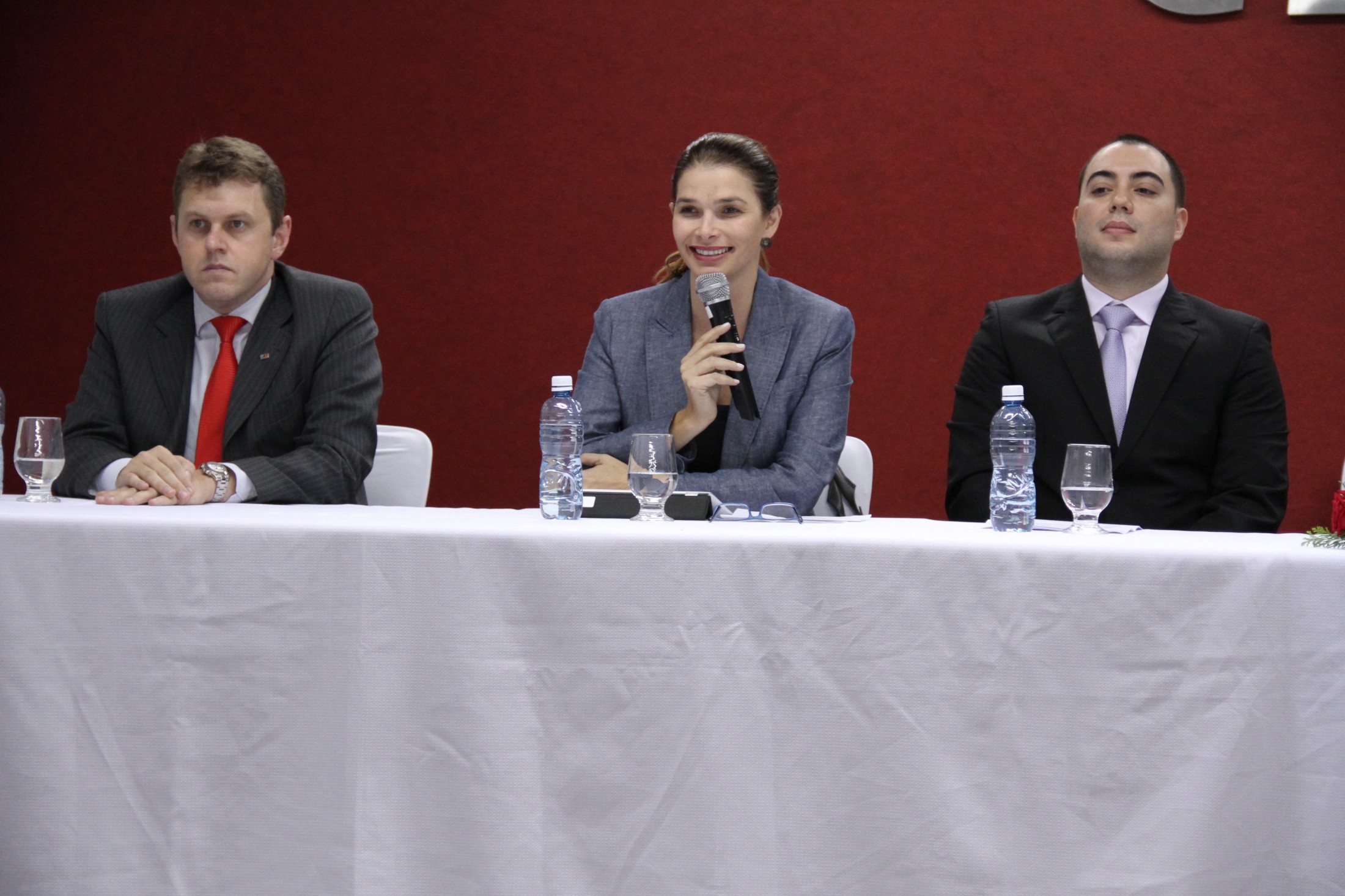 Seminário Para Todos - O Movimento Político das Pessoas com Deficiência no Brasil