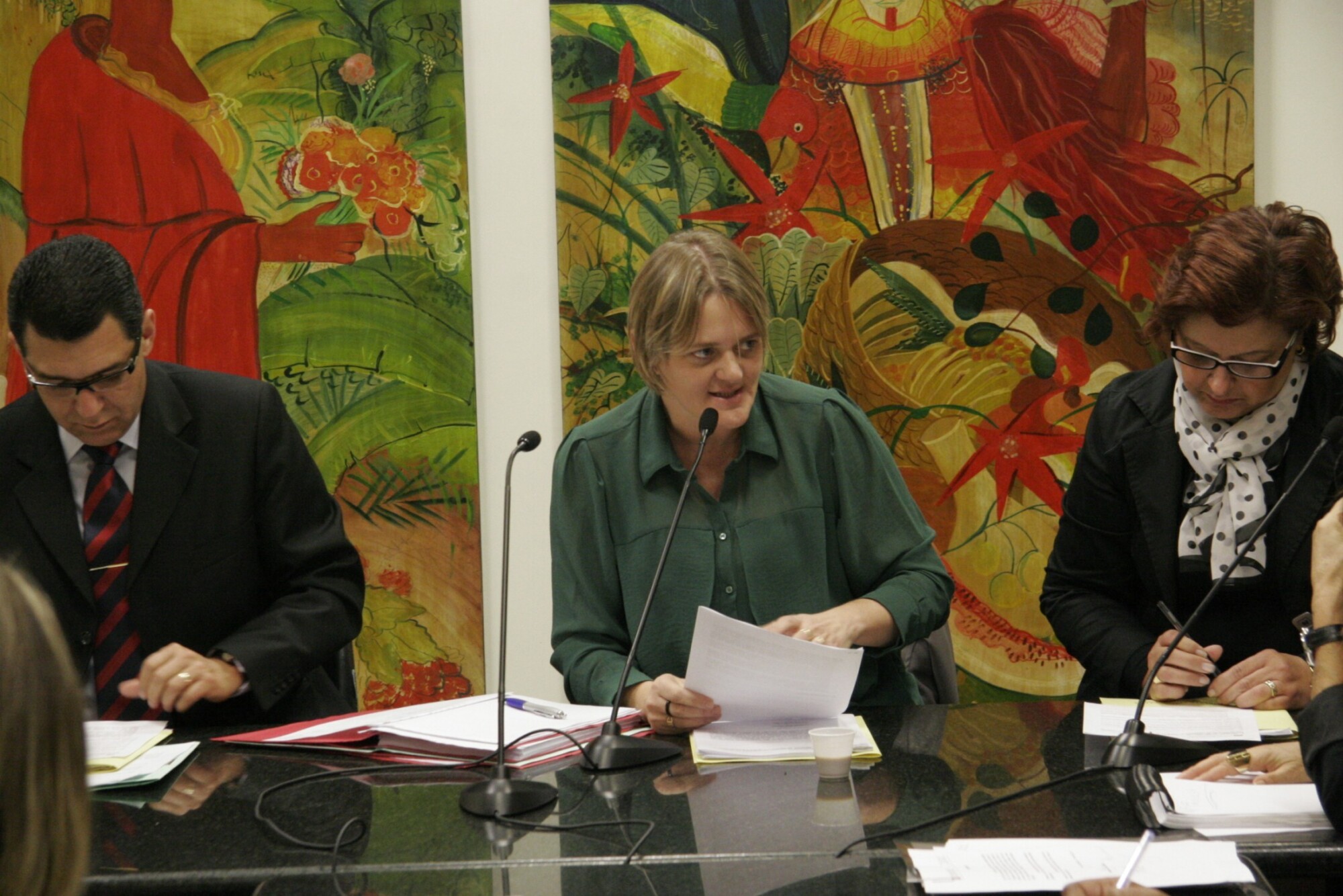 Reunião da Comissão de Direitos e Garantias Fundamentais