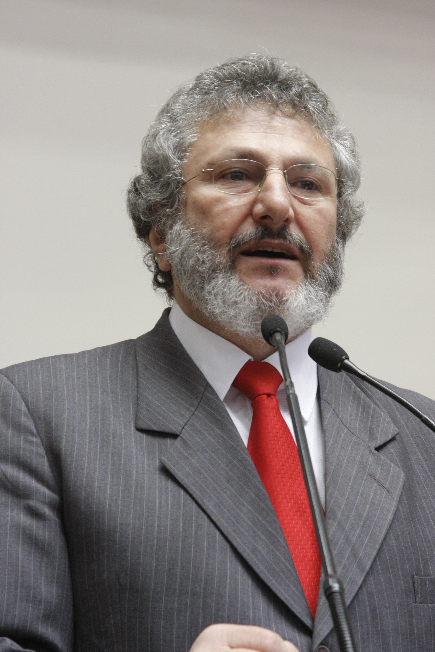 Sessão Ordinária - Manhã - Deputado Padre Pedro Baldissera (PT)