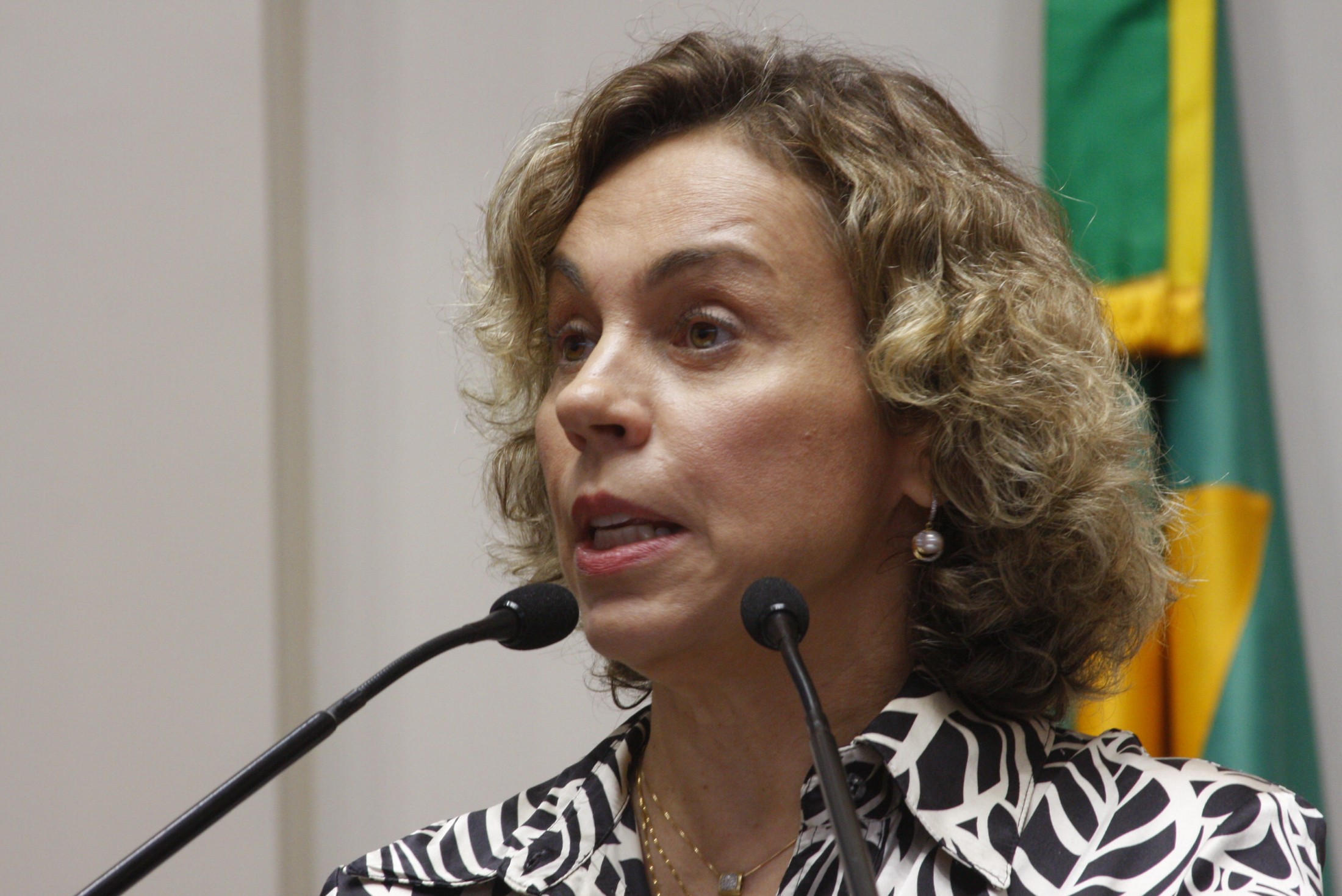 Sessão Ordinária - Manhã - Deputada Ana Paula Lima (PT)