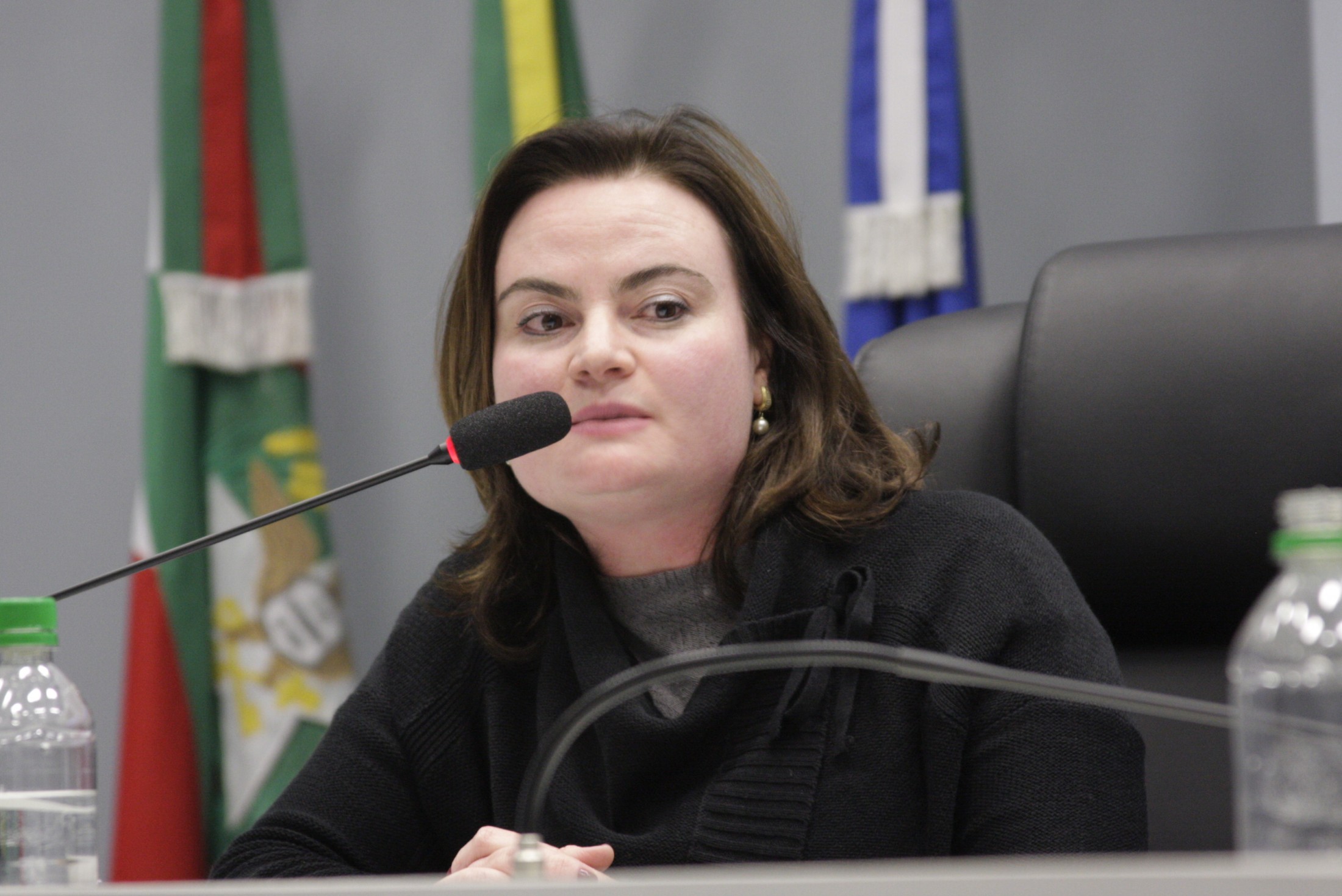 Audiência pública para discussão da segurança pública em Santa Catarina - Delegada Luciana Rodermil