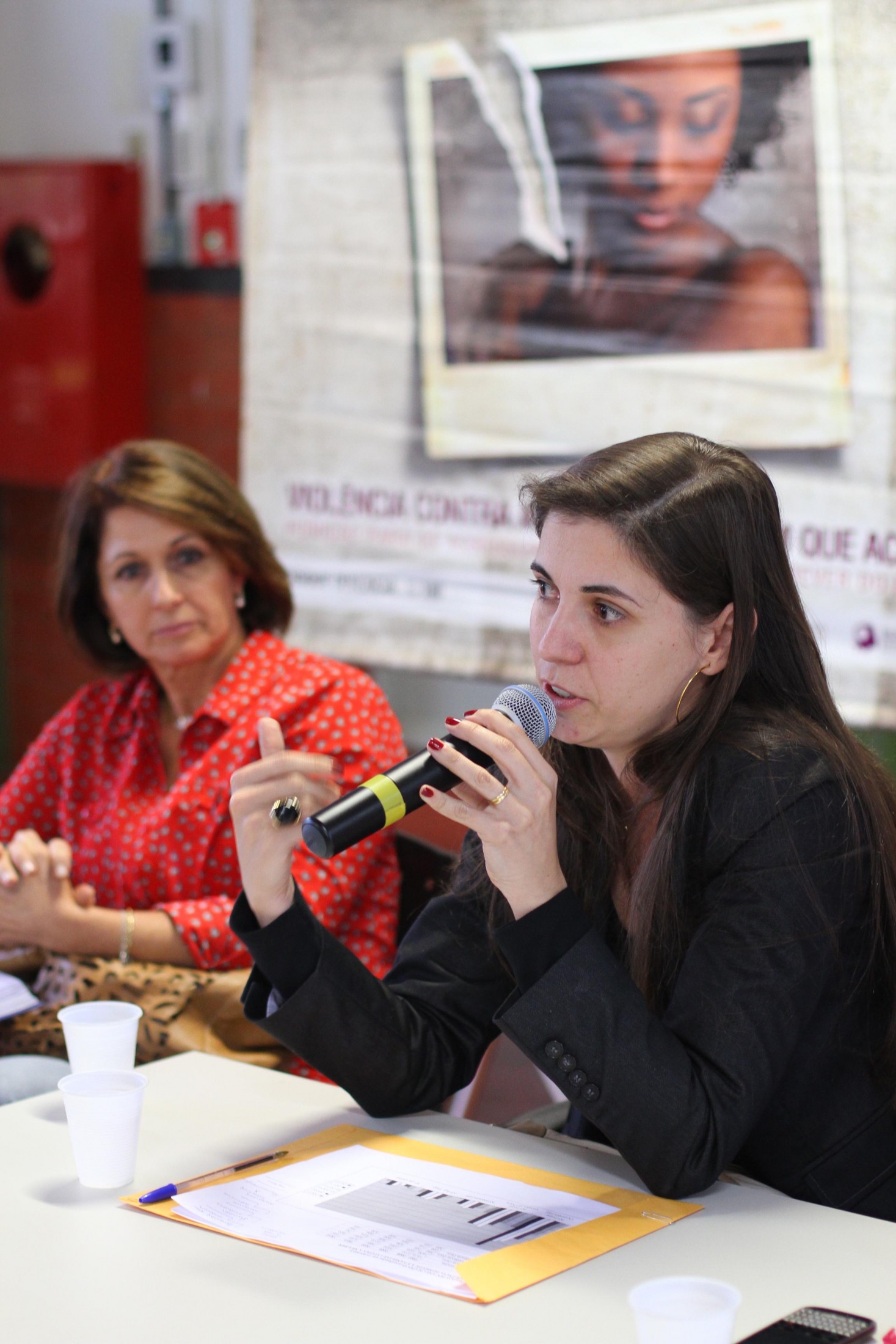 Audiência Pública - Violência Contra a Mulher