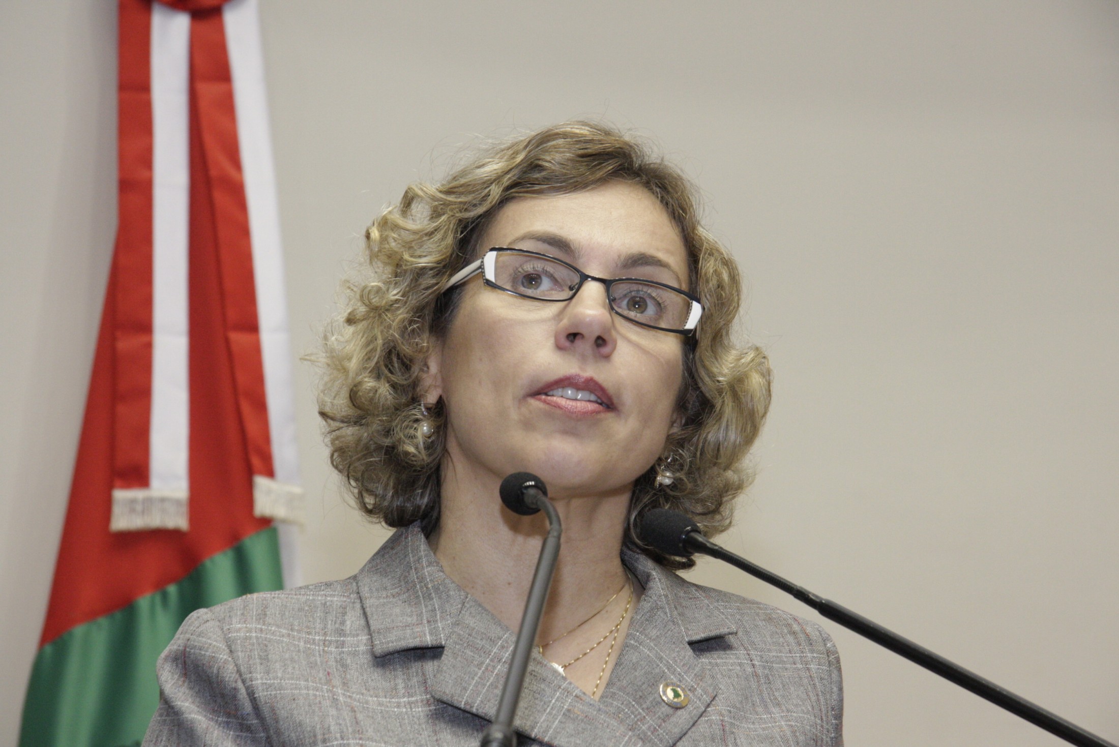 Sessão Ordinária – Deputada Ana Paula Lima (PT)