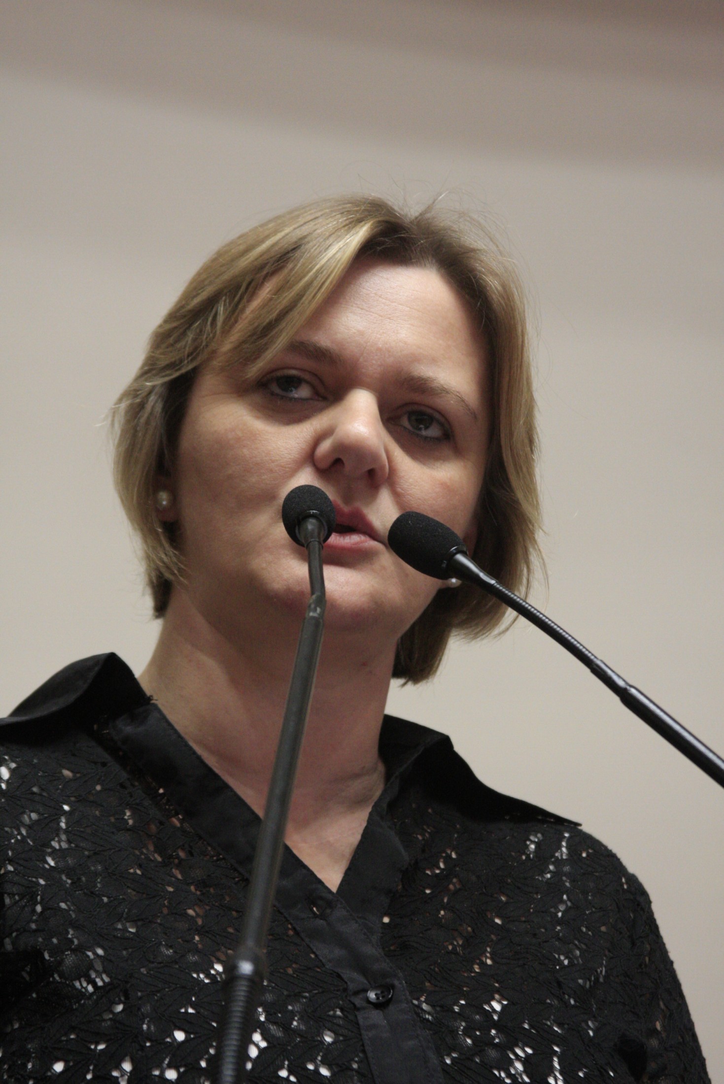 Sessão Ordinária – Deputado Luciane Carminatti