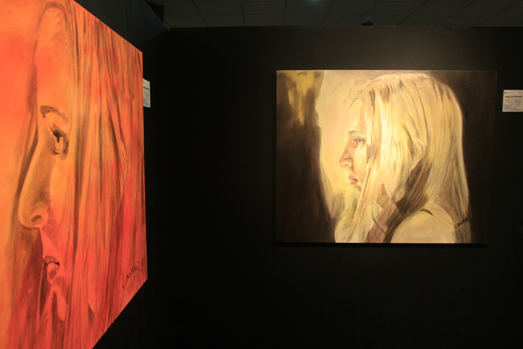 Exposição de artistas plásticos de São José