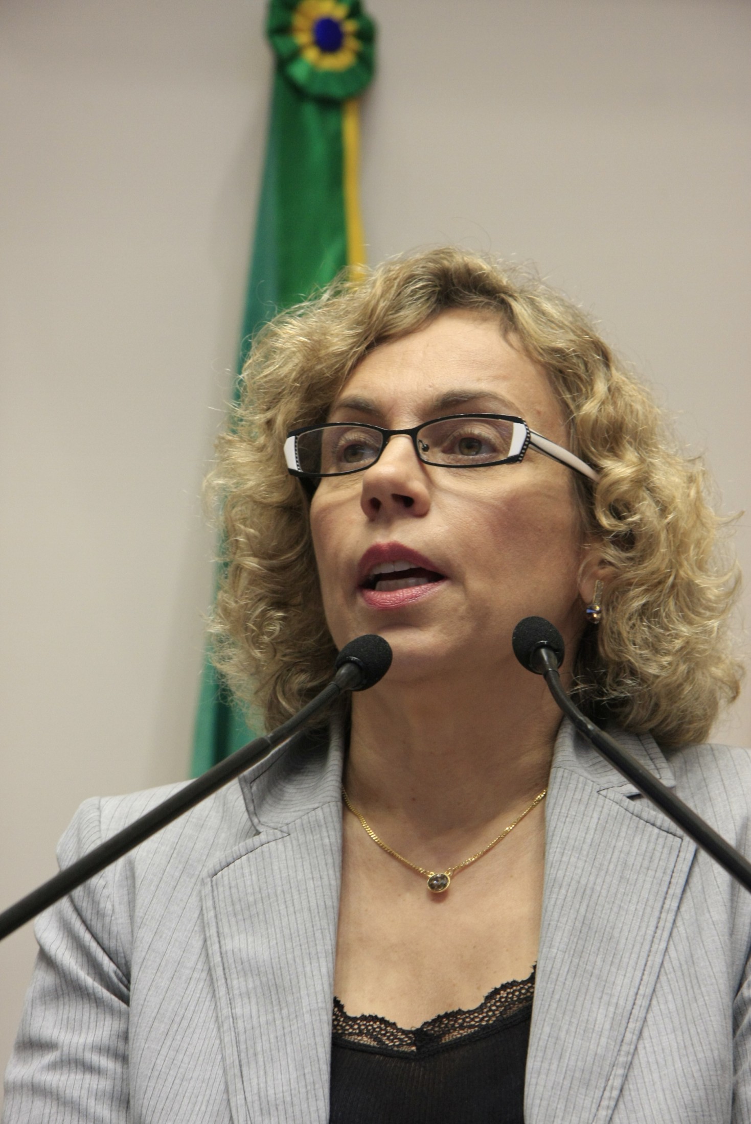 Sessão Ordinária - Plenário Osni Regis - Deputada Ana Paula Lima (PT)