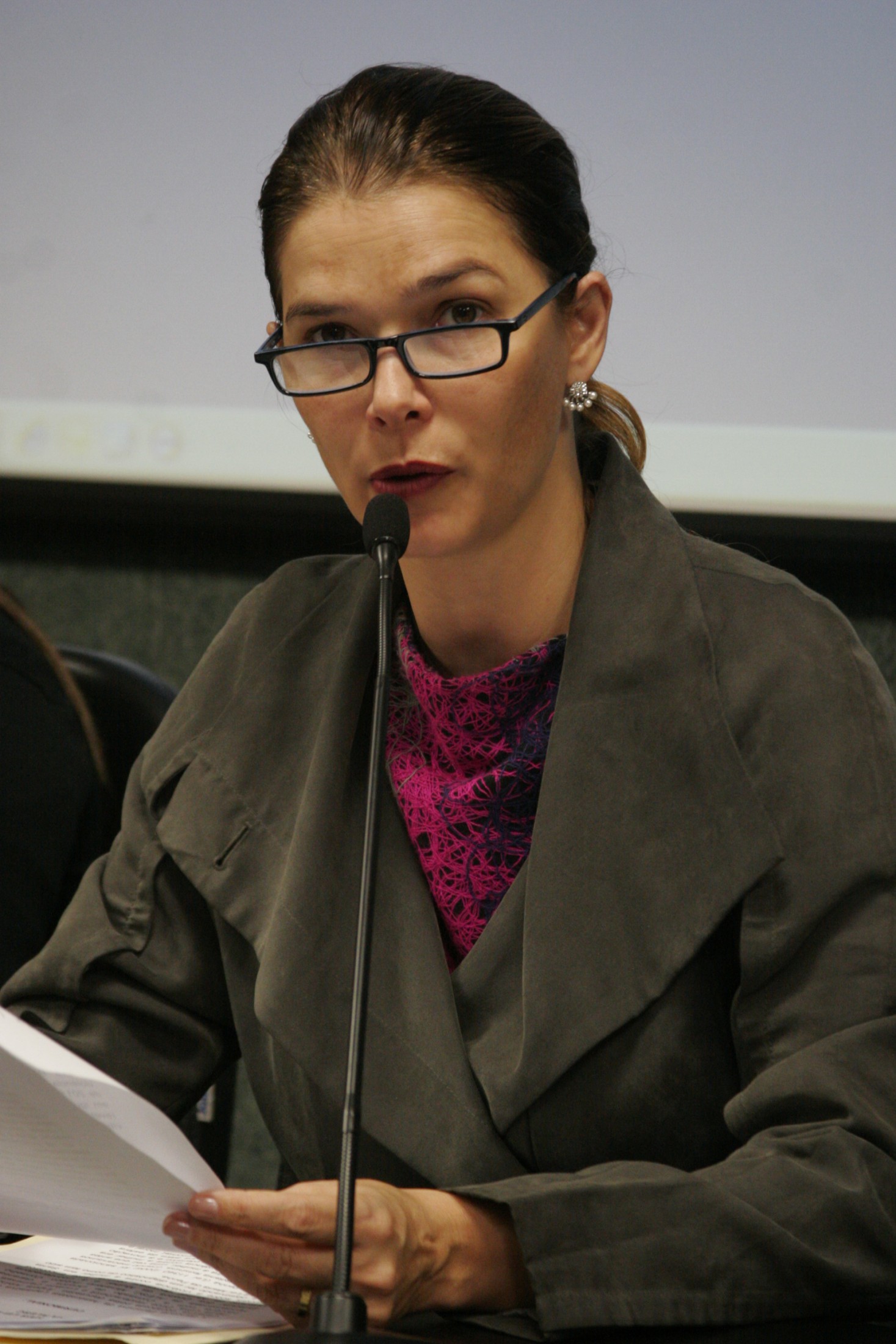 Encontro Regional - A Violência Contra a Mulher