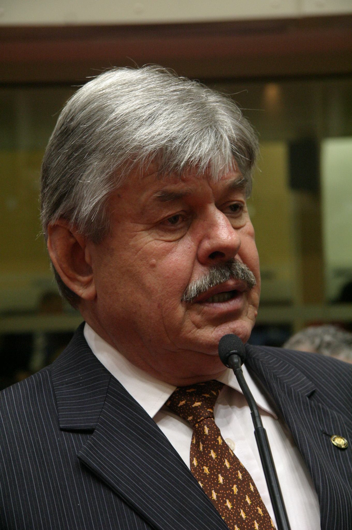 Plenário
