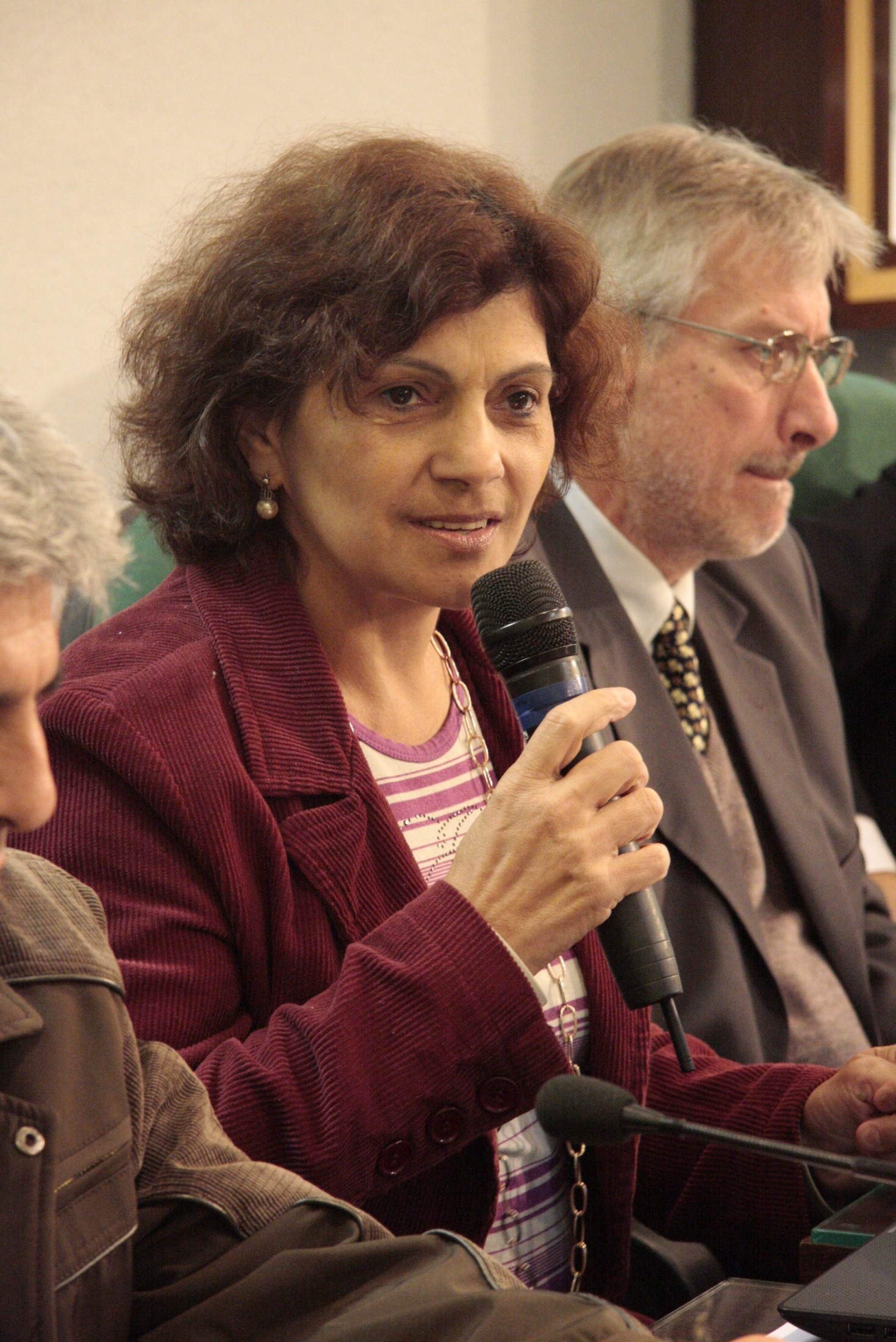 Vereadora Sueli Ferronatto - Problemas na telefonia móvel em Joaçaba e região