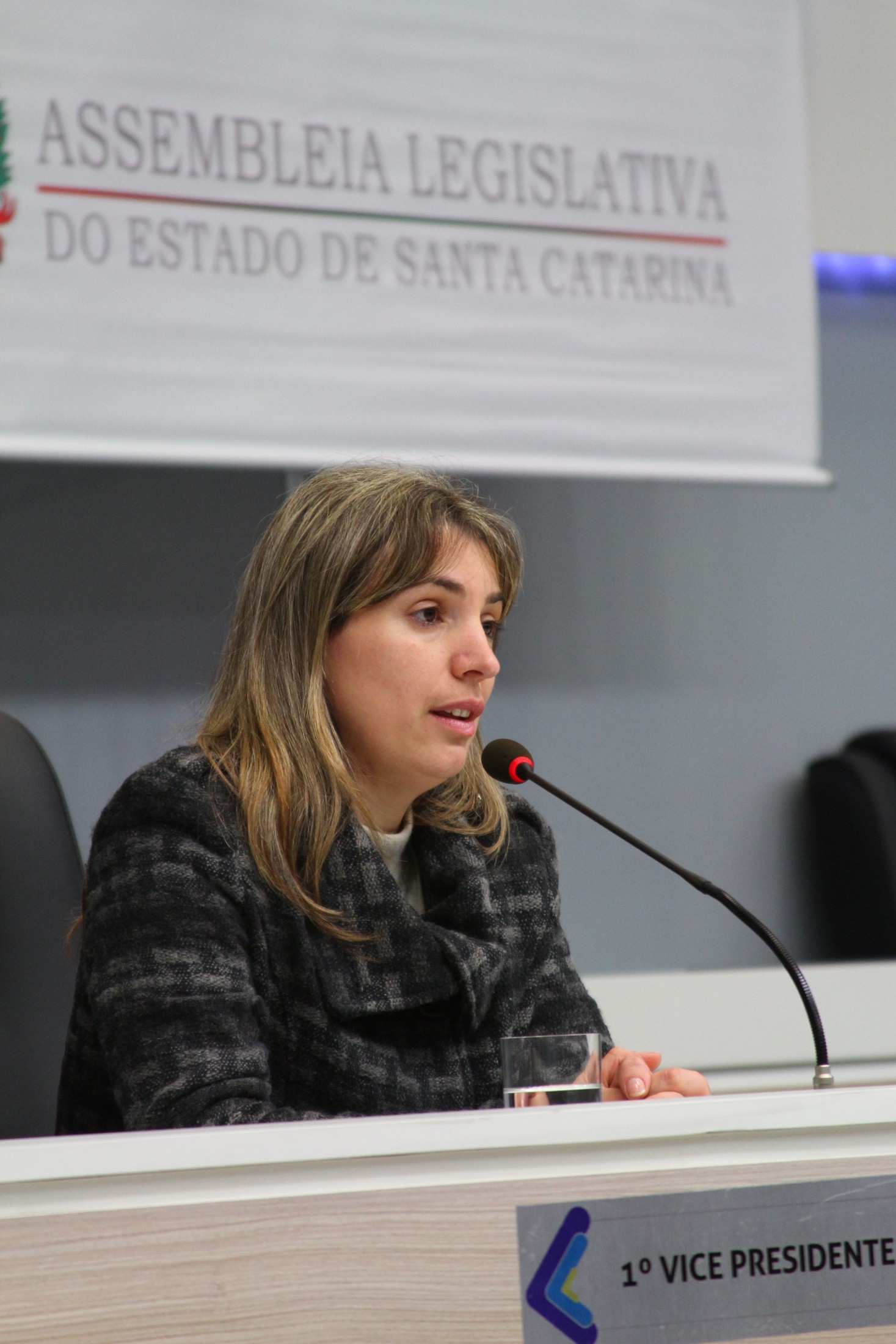 Audiências Públicas Regionais do Fórum Parlamentar em Defesa da Pessoa Idosa