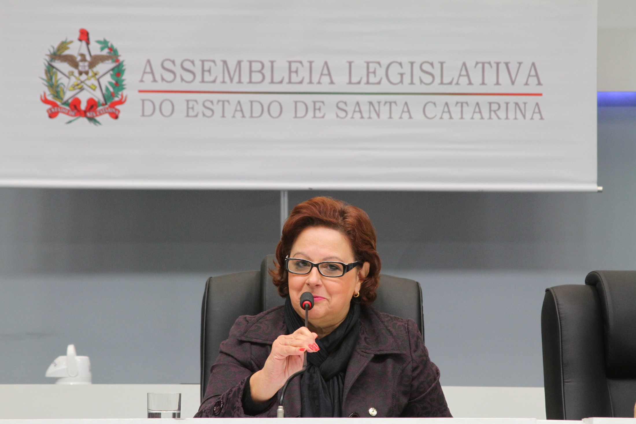 Audiências Públicas Regionais do Fórum Parlamentar em Defesa da Pessoa Idosa