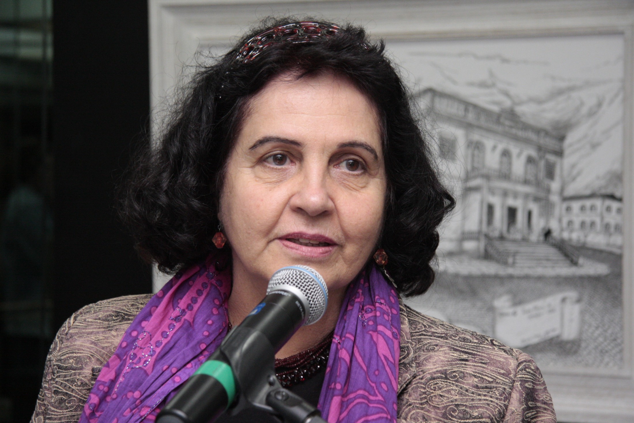 Lançamento Literário 