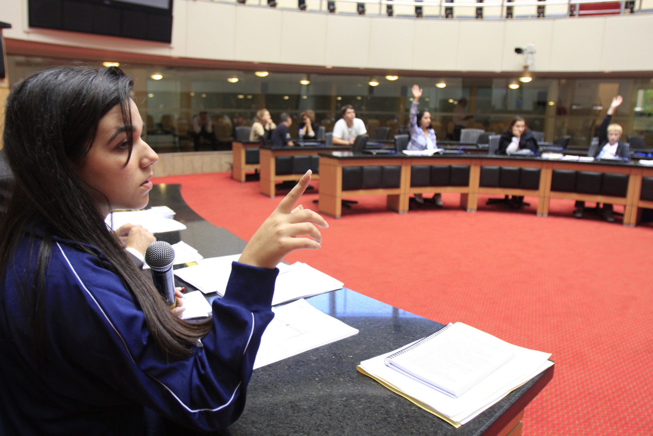 Parlamento Jovem 2012