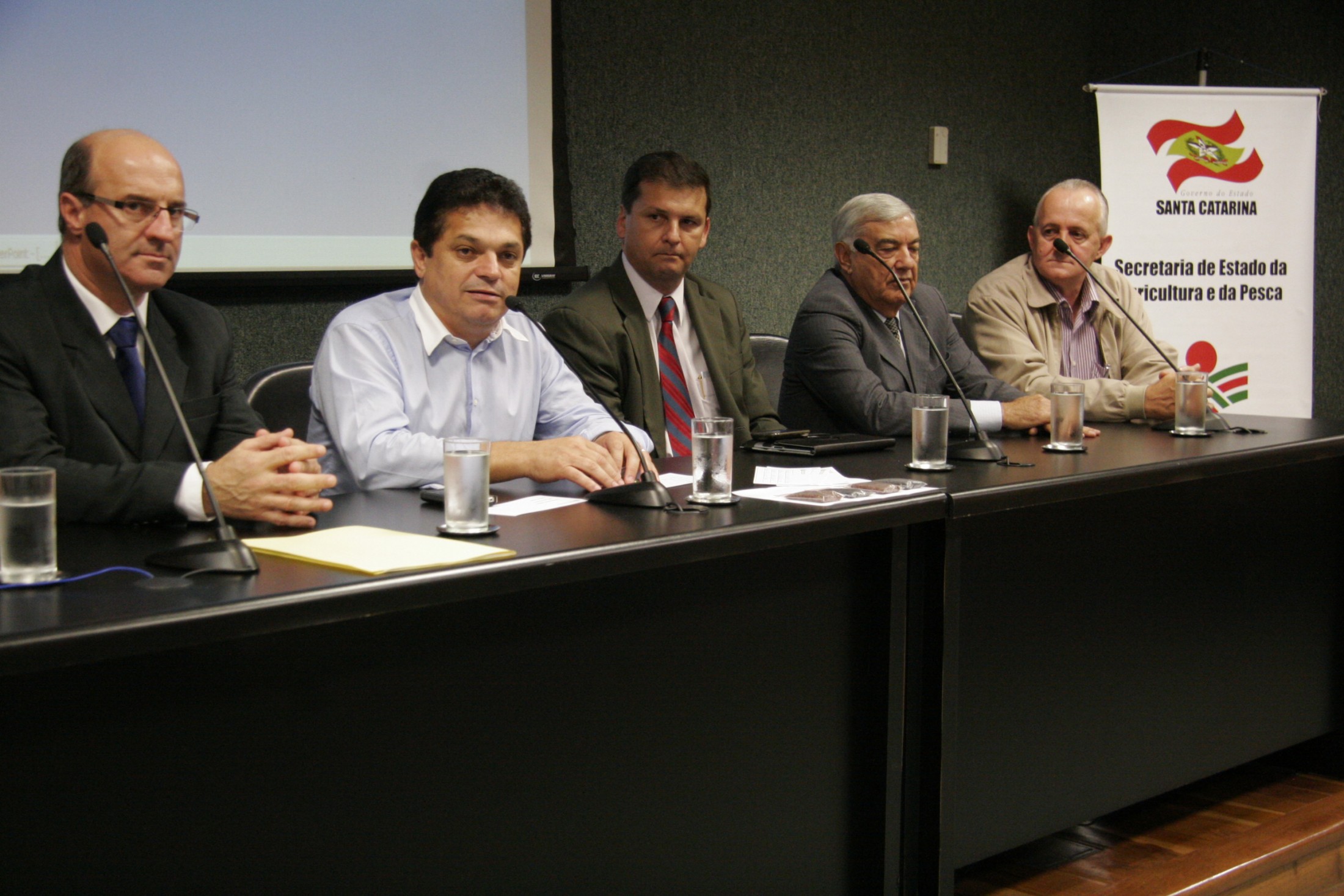 Audiência Pública - Criação da Câmara Setorial da Cadeia Produtiva do Arroz