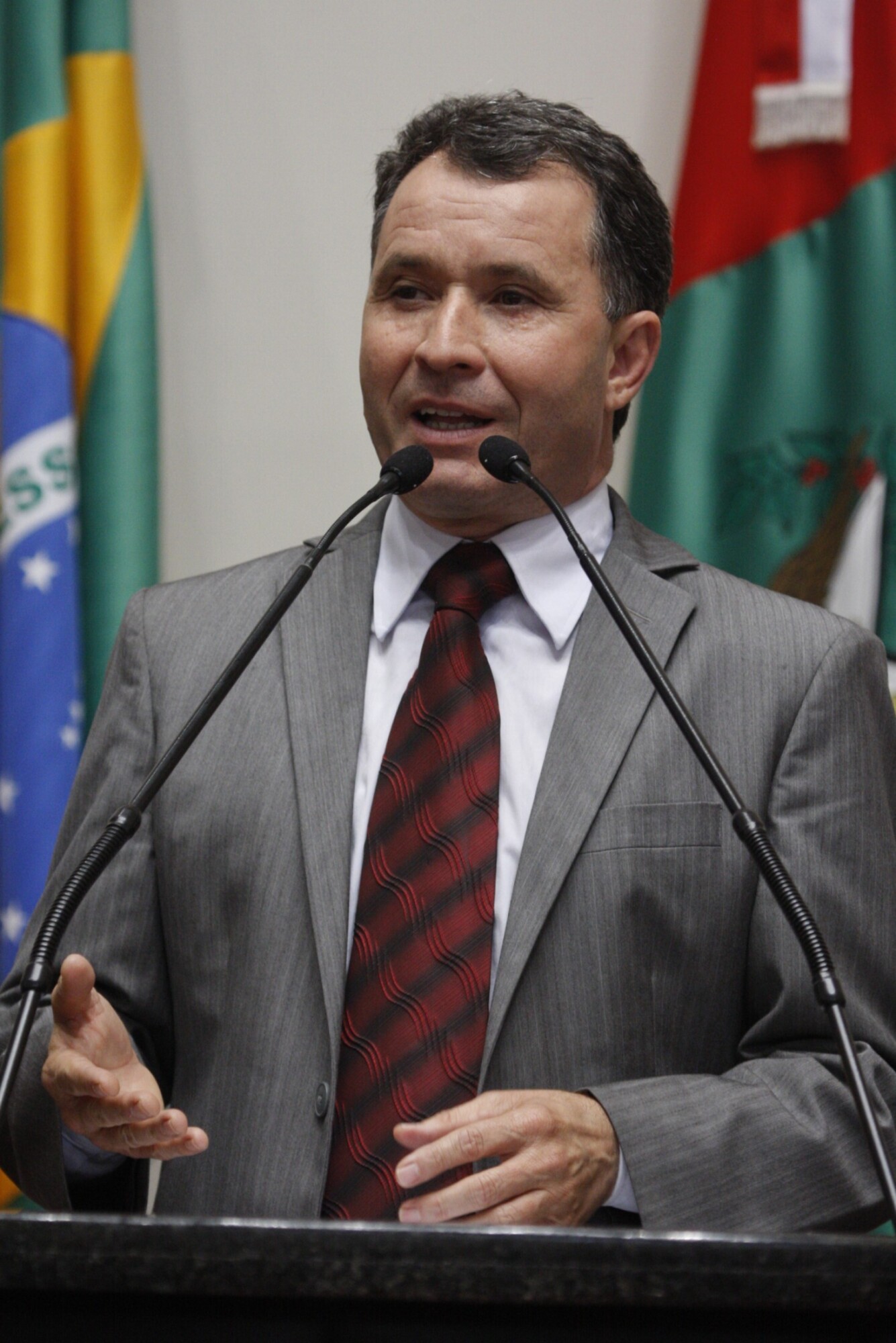 Deputado Darci de Matos (PSD)