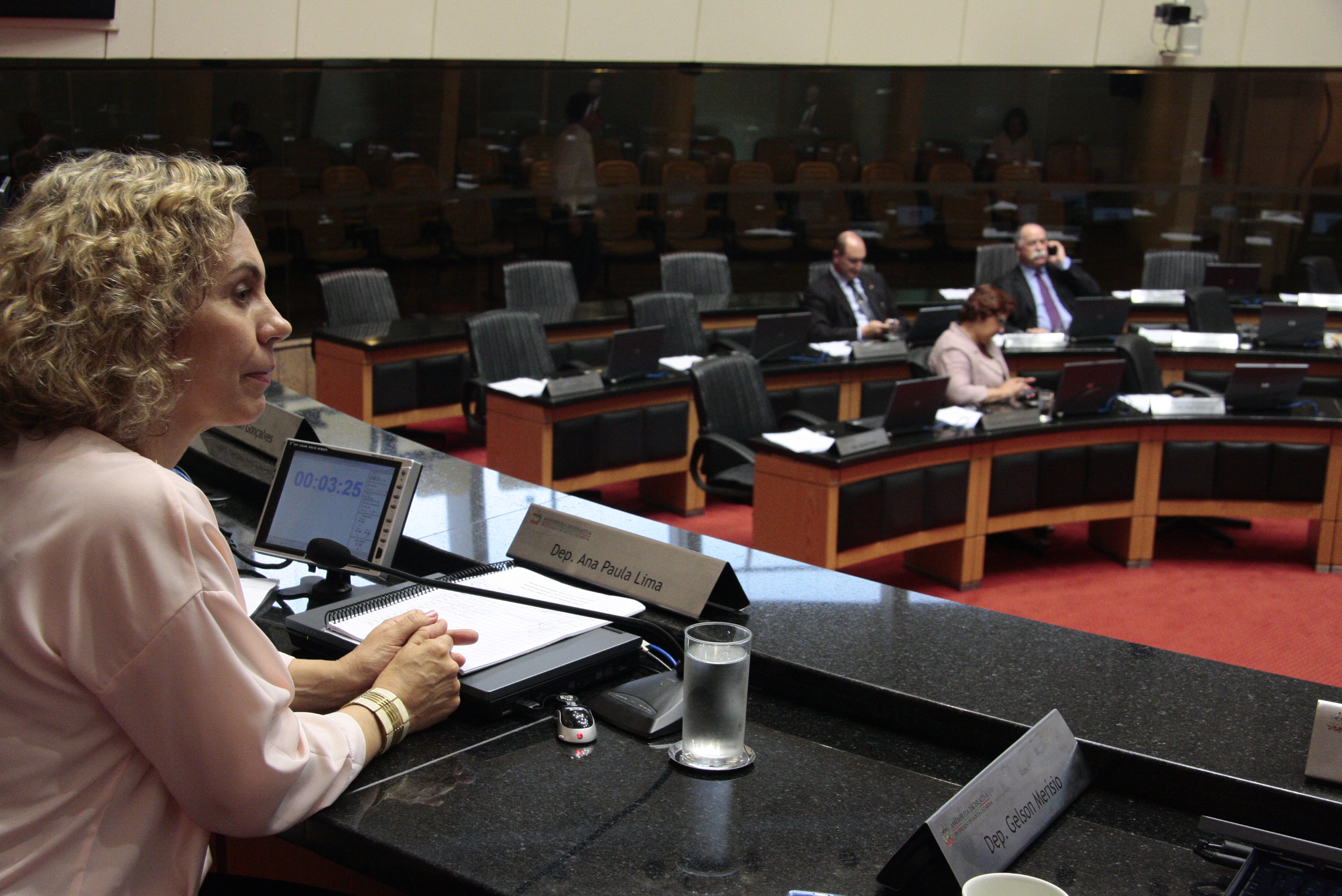 Deputada Ana Paula Lima (PT)