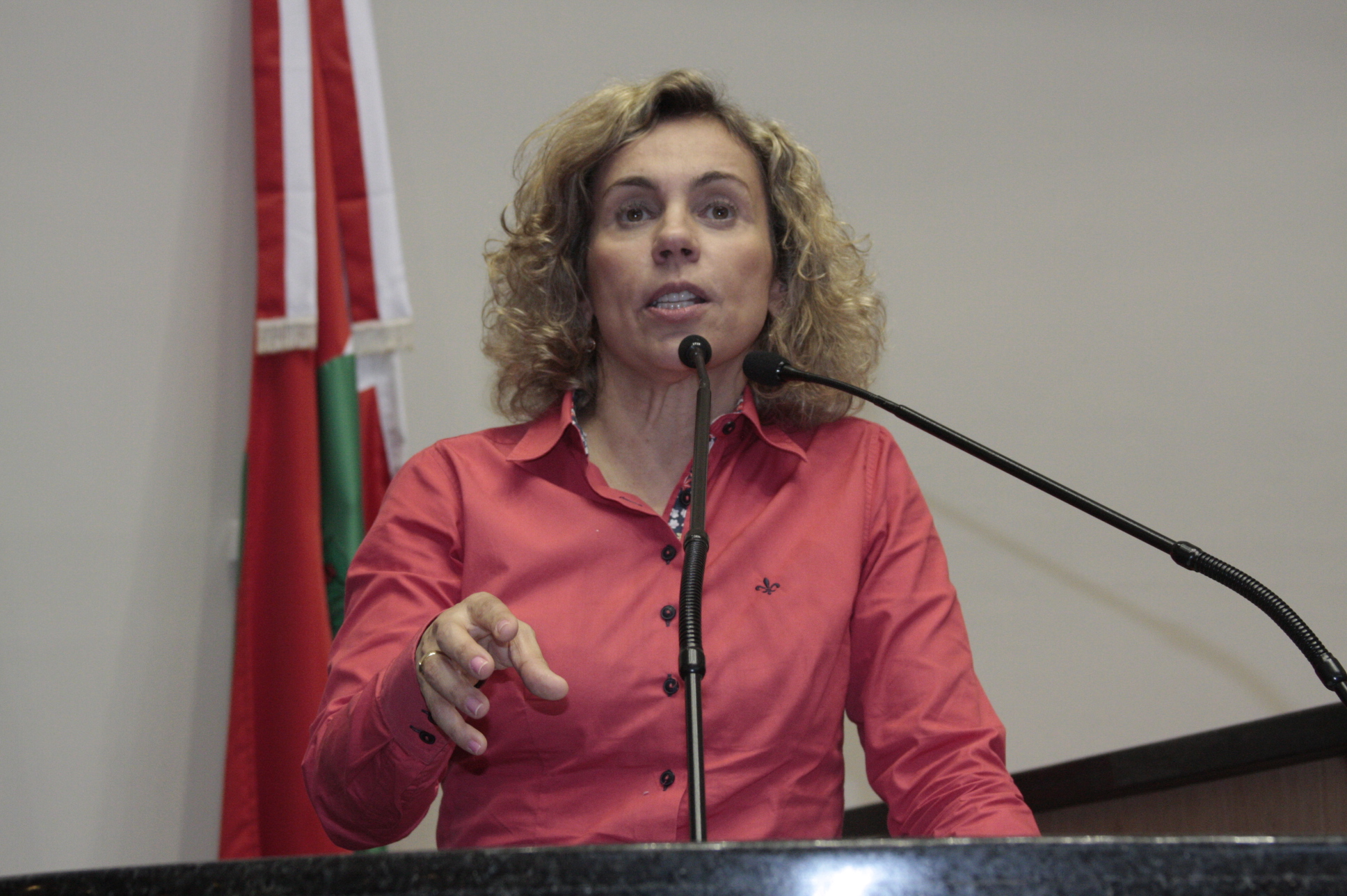 Deputada Ana Paula Lima (PT)