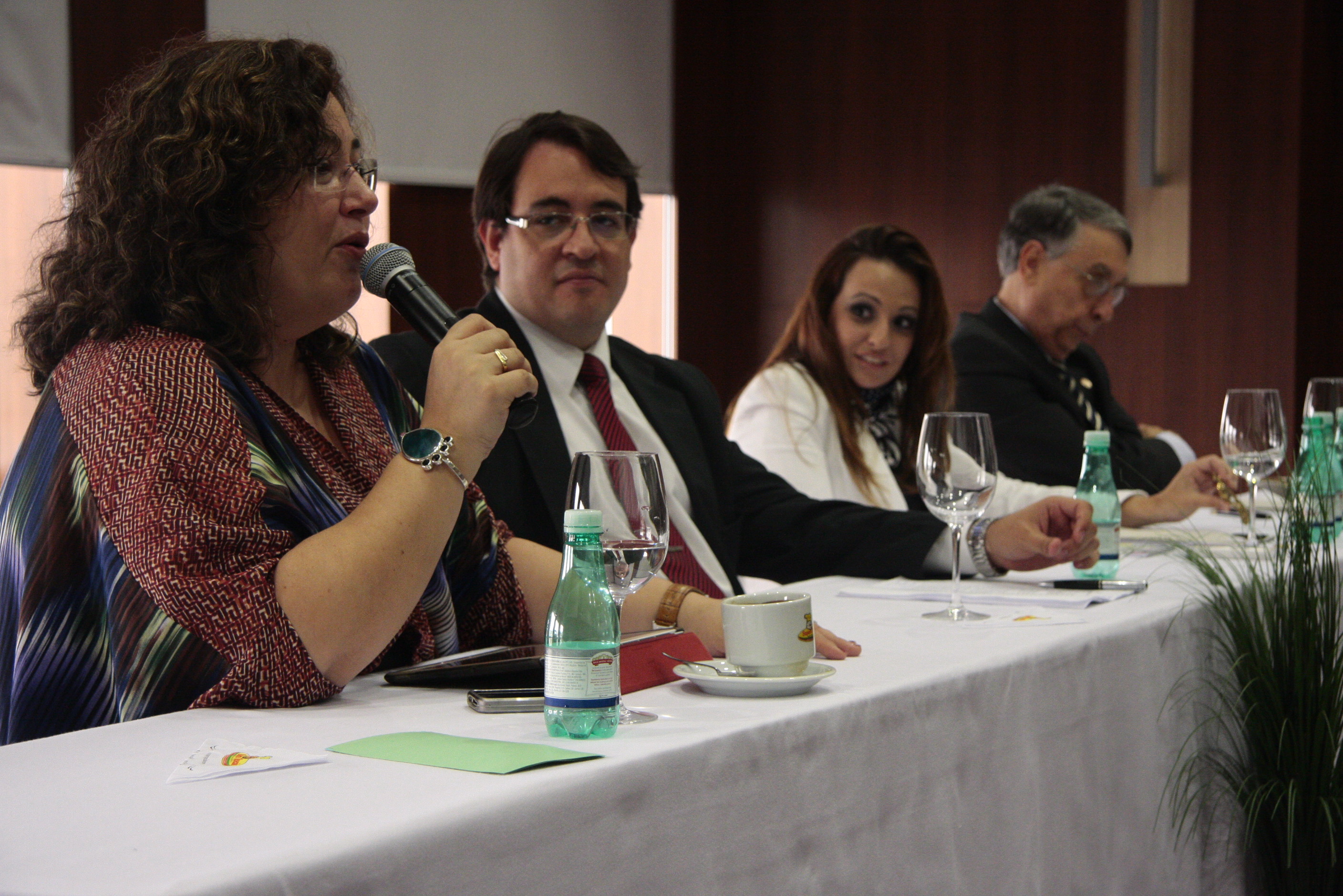 Mesa Redonda: Garantias Jurídicas da Adoção e suas Controvérsias. Foto: Miriam Zomer