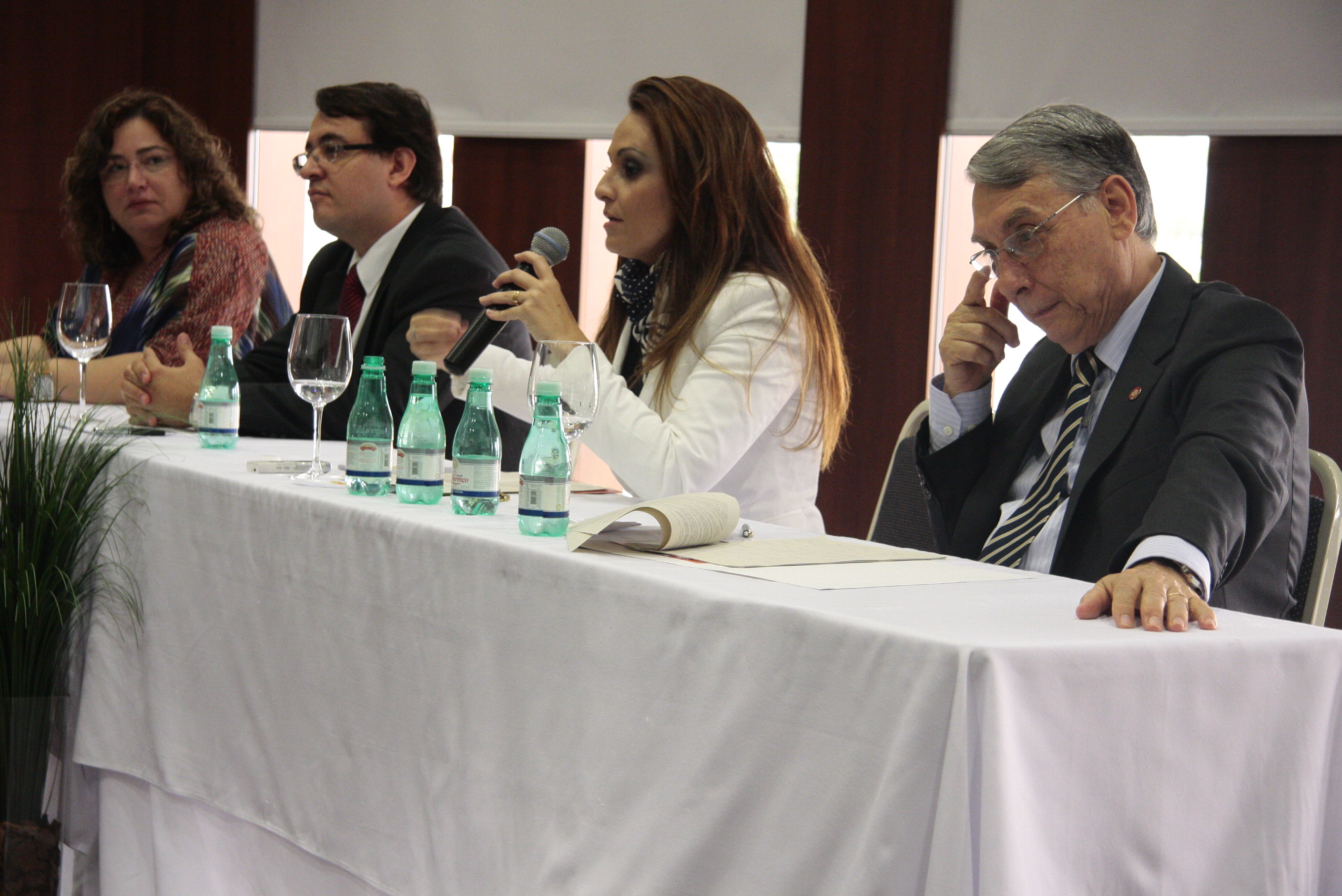 Mesa Redonda: Garantias Jurídicas da Adoção e suas Controvérsias. Foto: Miriam Zomer