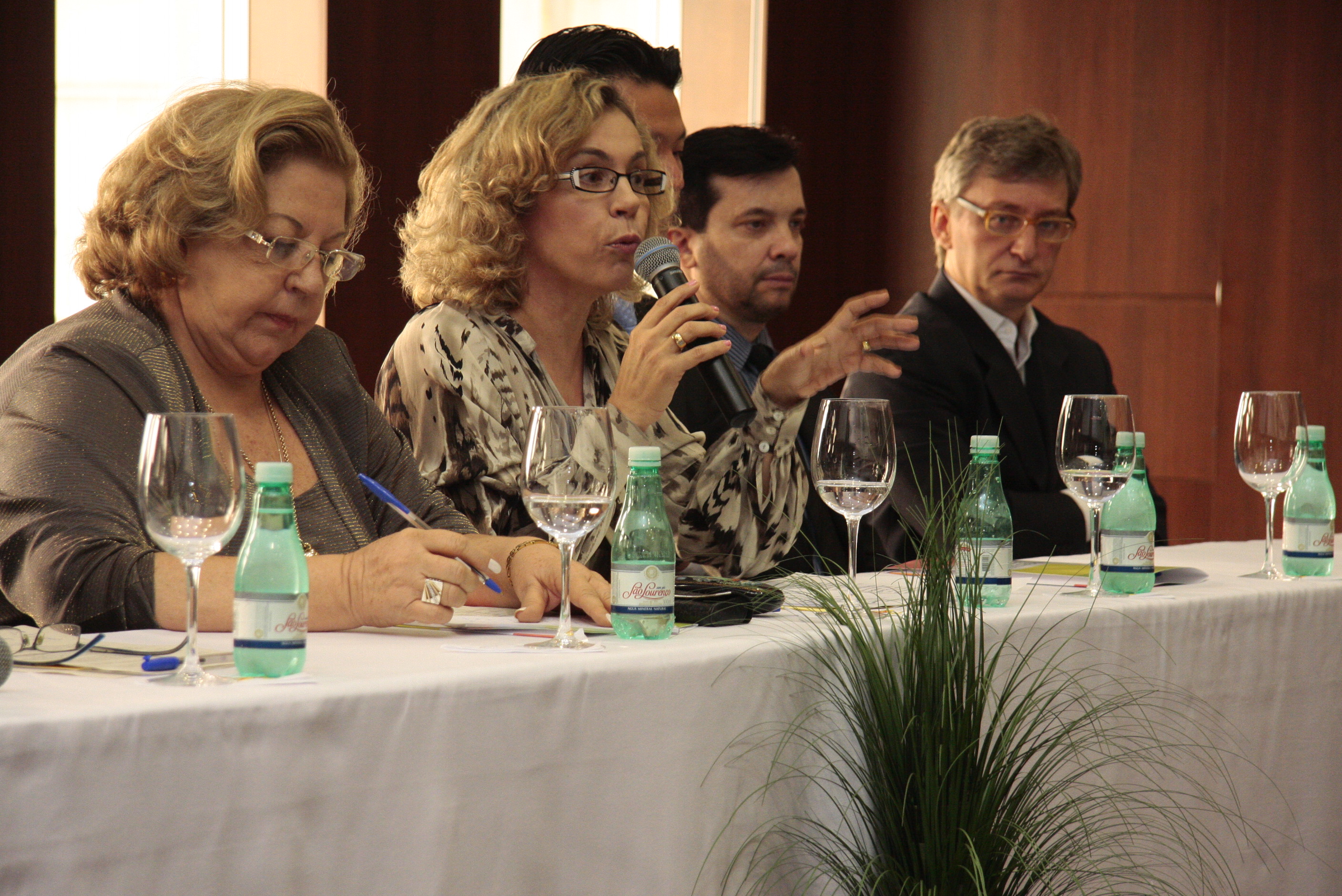 9º Encontro Estadual de Grupos de Estudo e Apoio à Adoção. Foto: Miriam Zomer