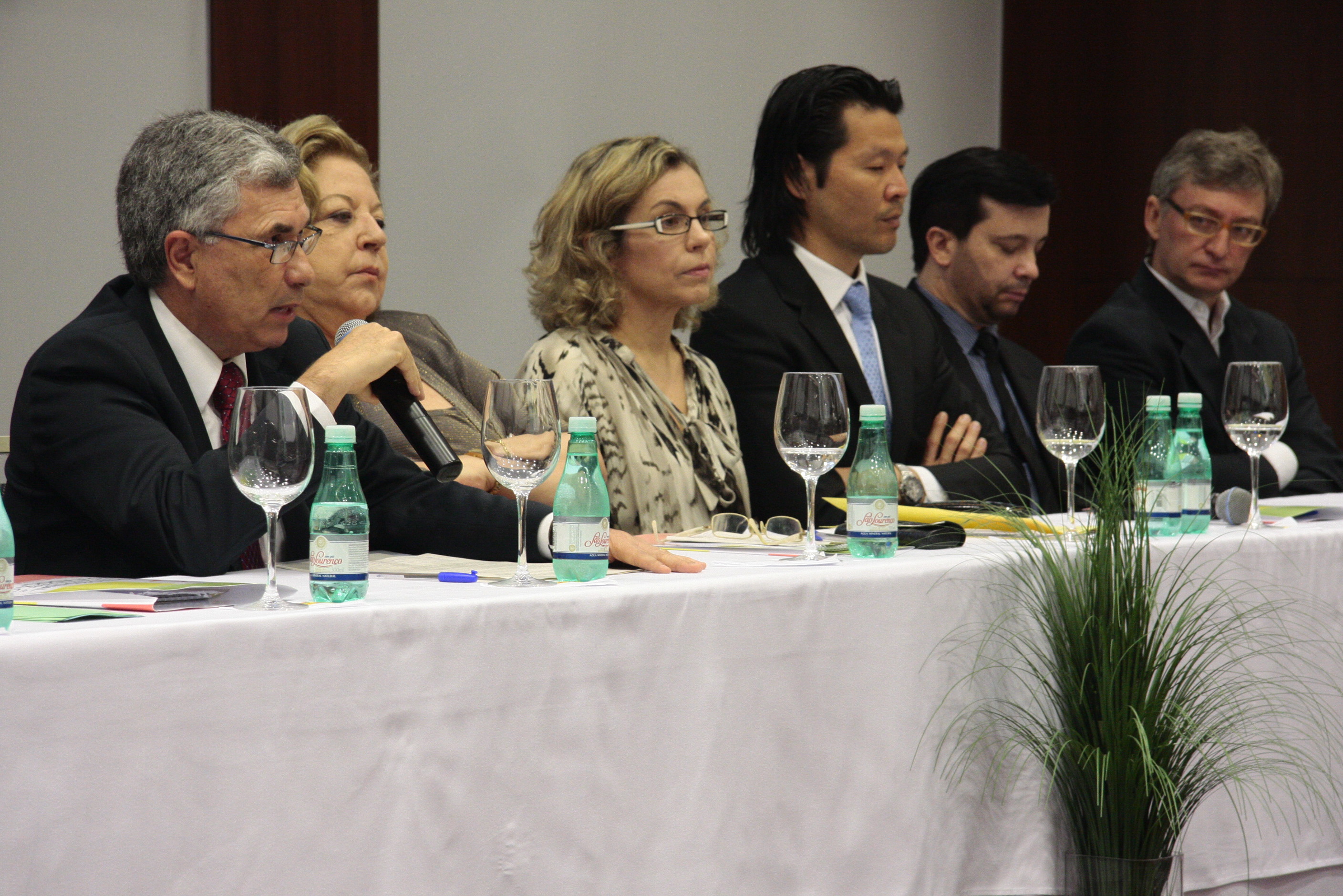 9º Encontro Estadual de Grupos de Estudo e Apoio à Adoção. Foto: Miriam Zomer