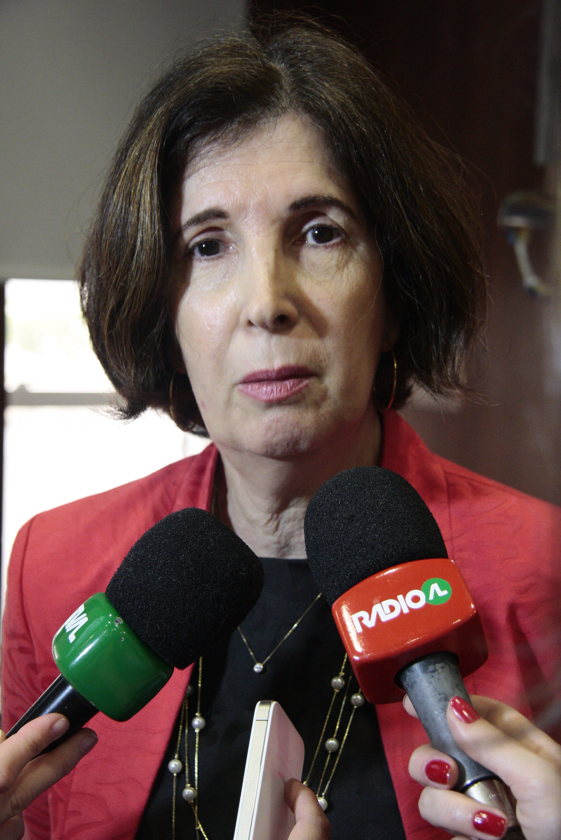 Conferência: A Prevenção dos Riscos de Fracasso de uma Adoção - Silvia Nabinger, Assistente Social de Porto Alegre/RS. Foto: Miriam Zomer