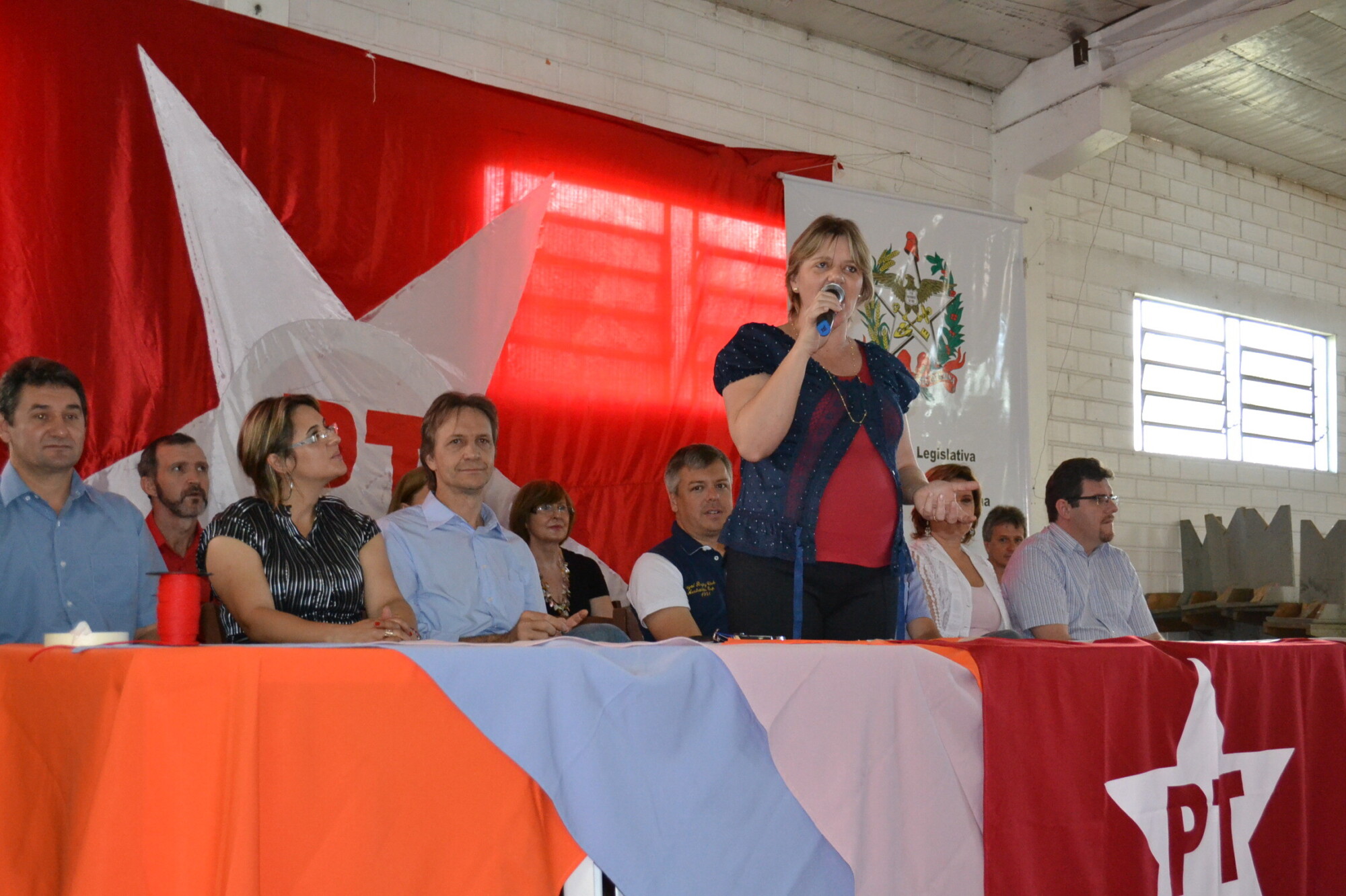 Plenaria deputada Luciane Carminatti